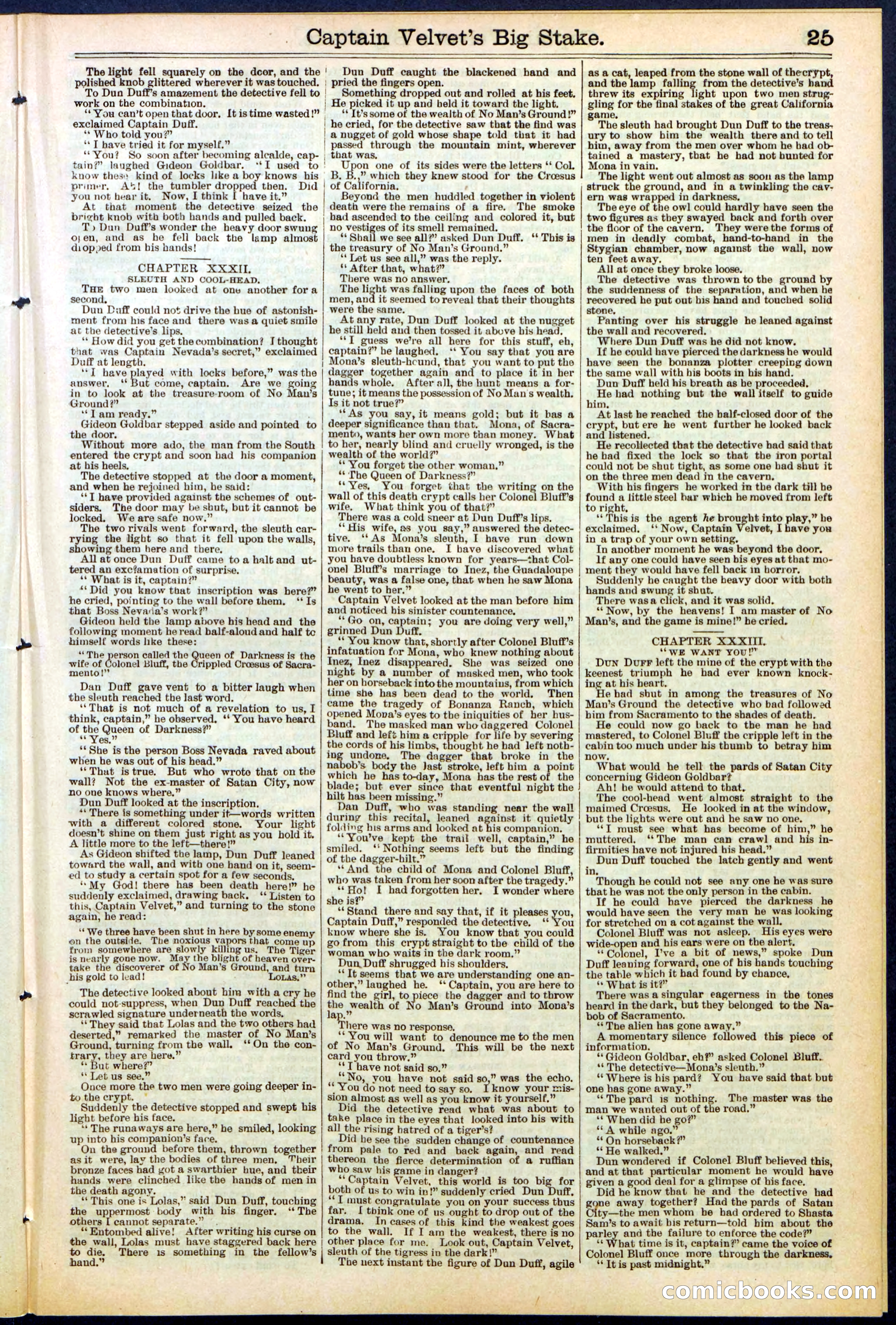 Beadle's New York Dime Library, No. 512 — page 25 of 32