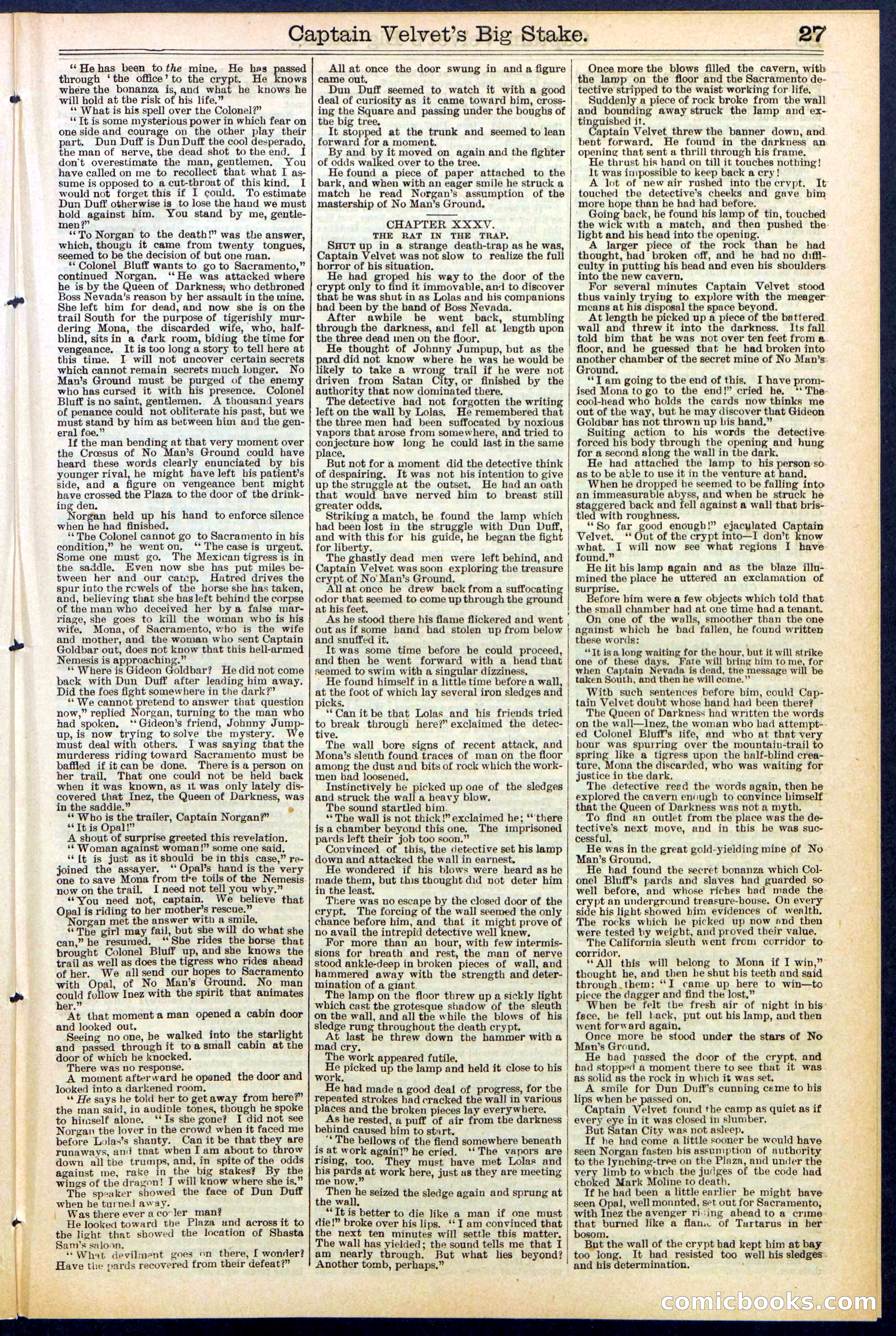 Beadle's New York Dime Library, No. 512 — page 27 of 32