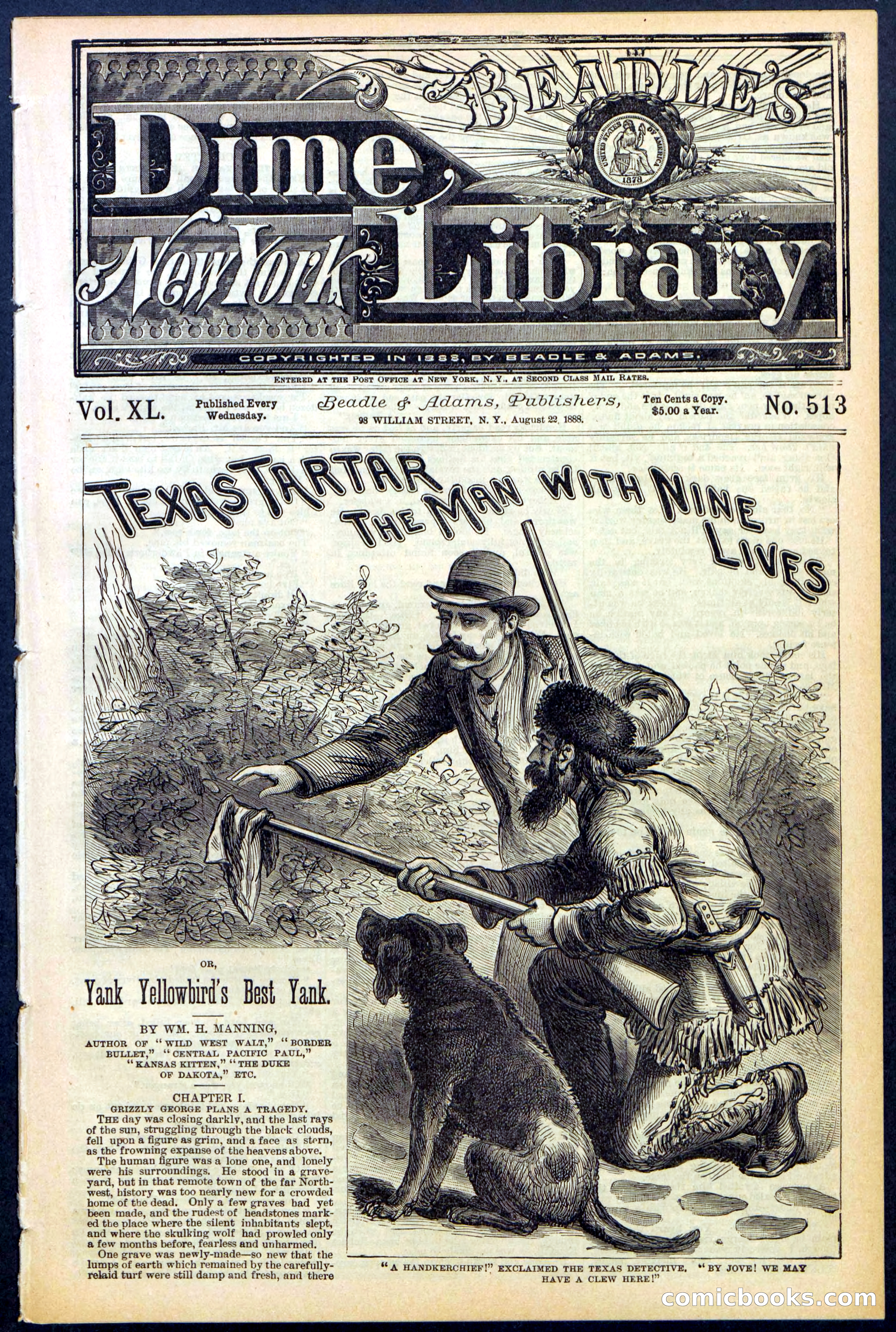Beadle's New York Dime Library No. 513 — page 1 of 32