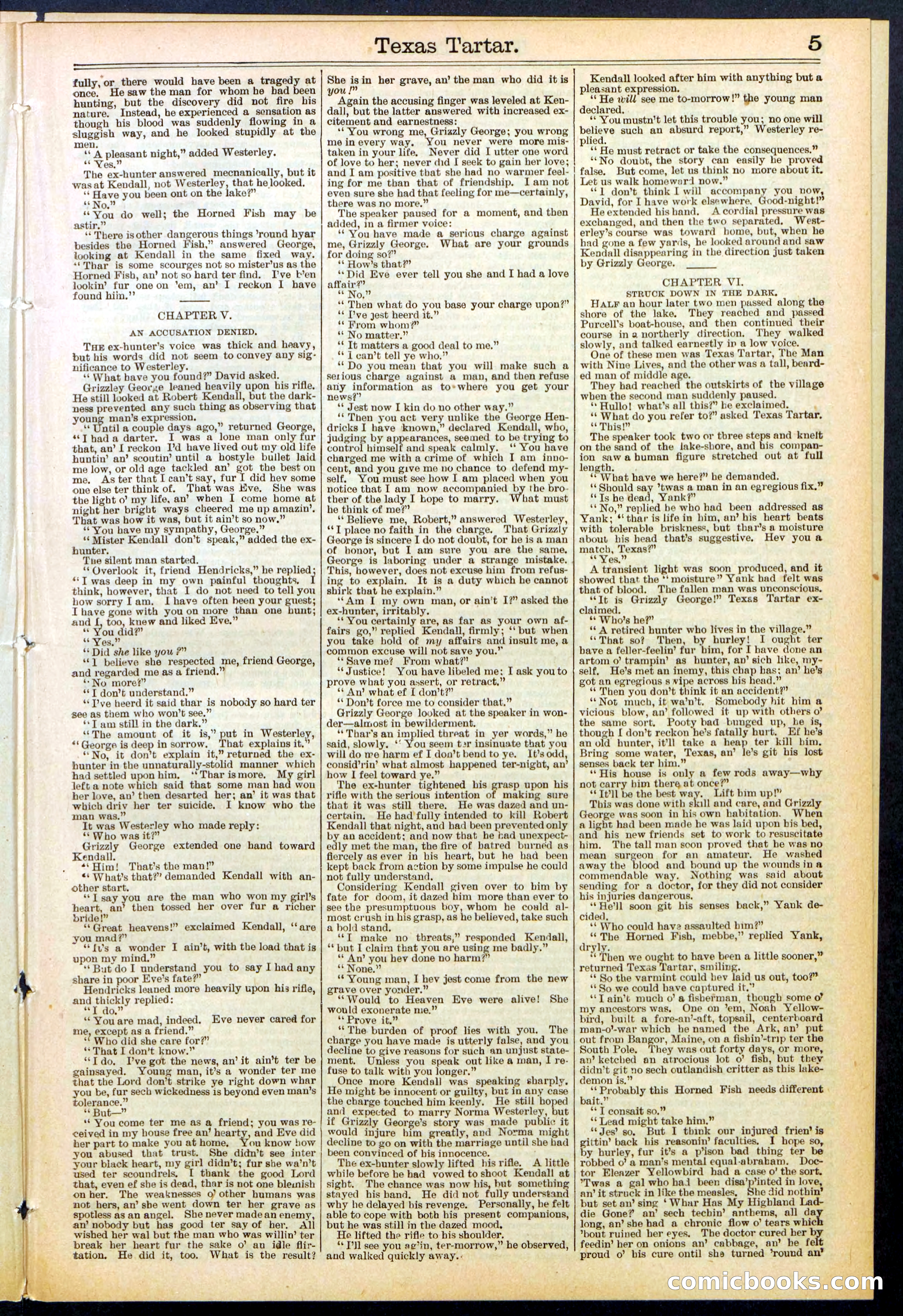 Beadle's New York Dime Library No. 513 — page 5 of 32