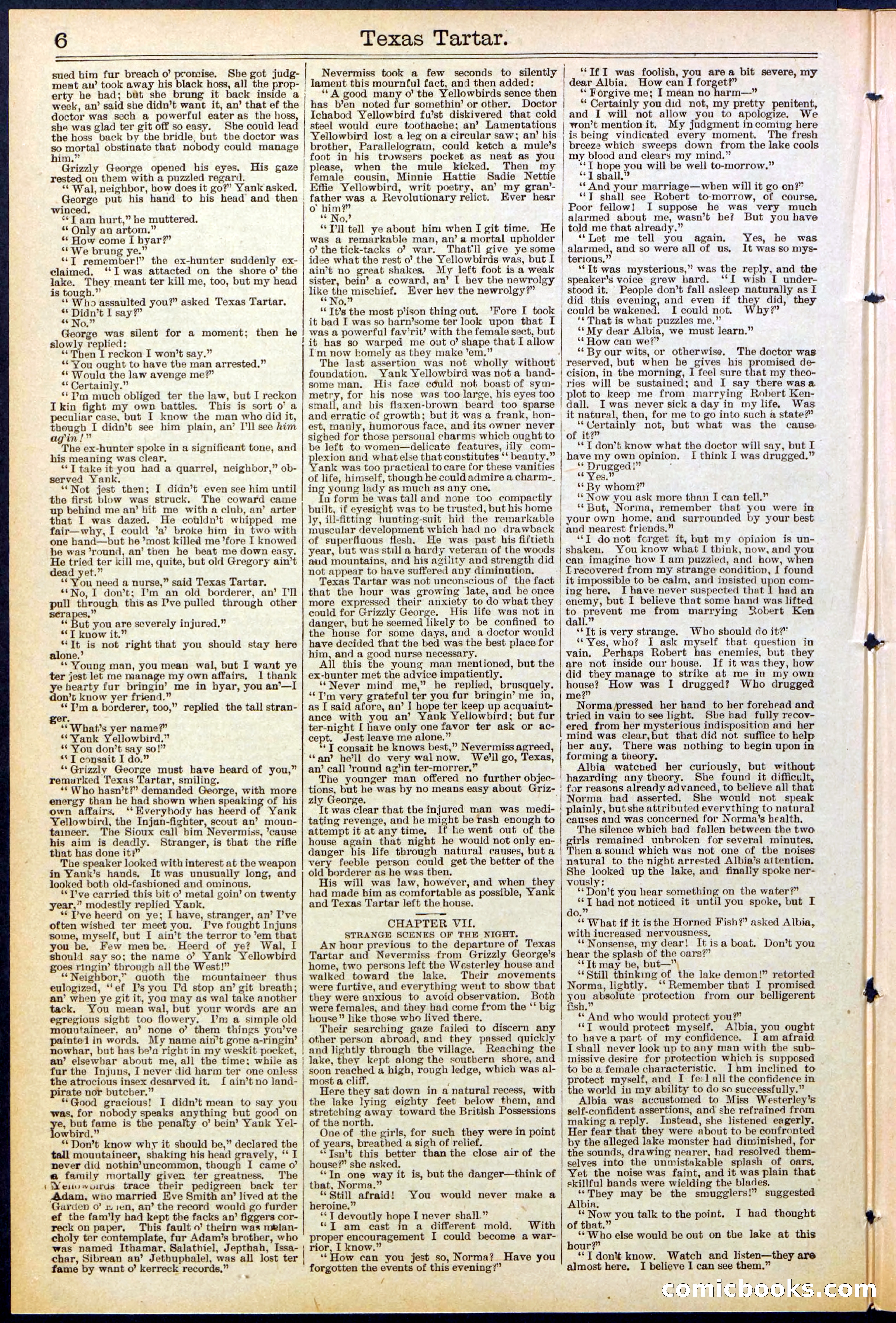 Beadle's New York Dime Library No. 513 — page 6 of 32