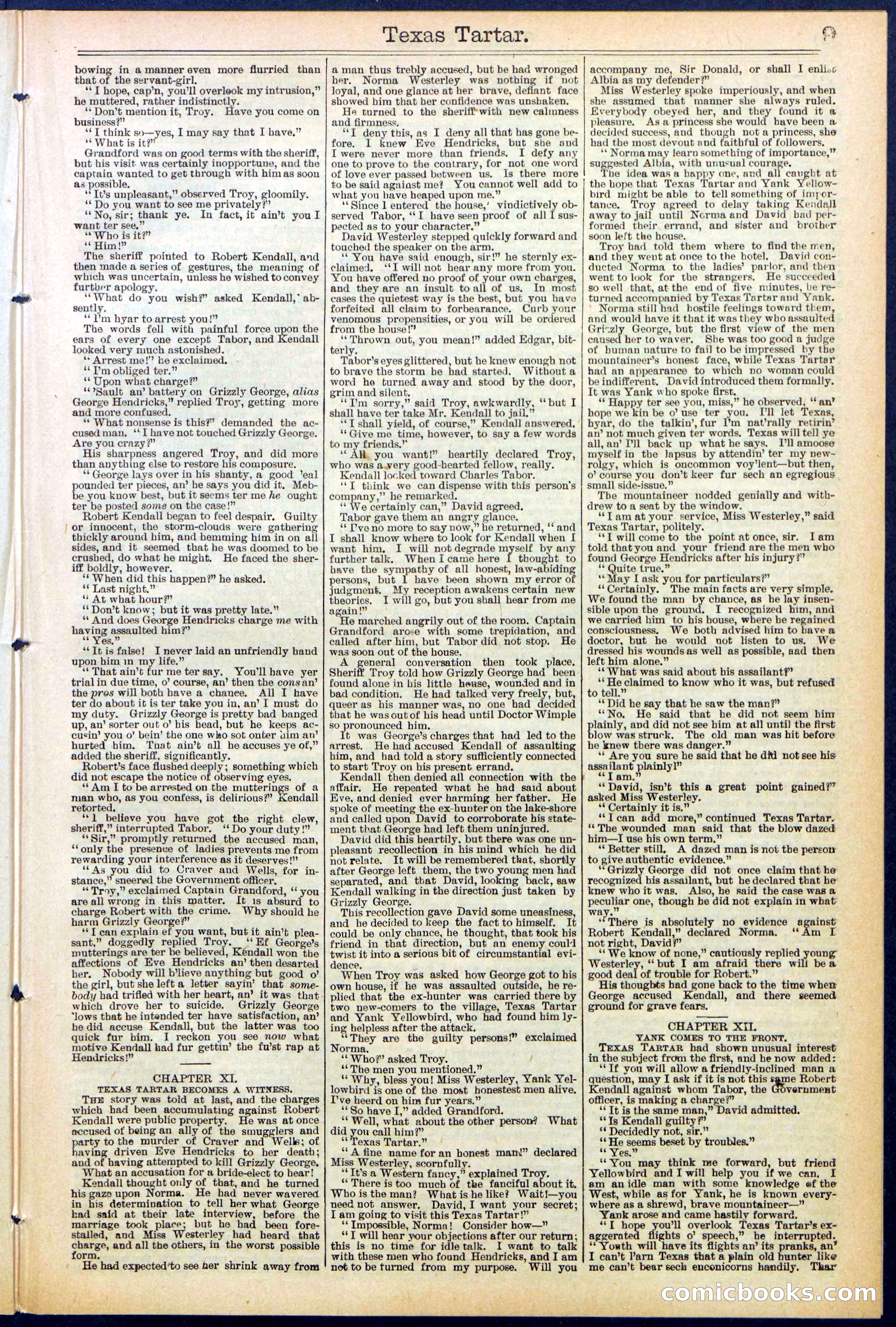 Beadle's New York Dime Library No. 513 — page 9 of 32