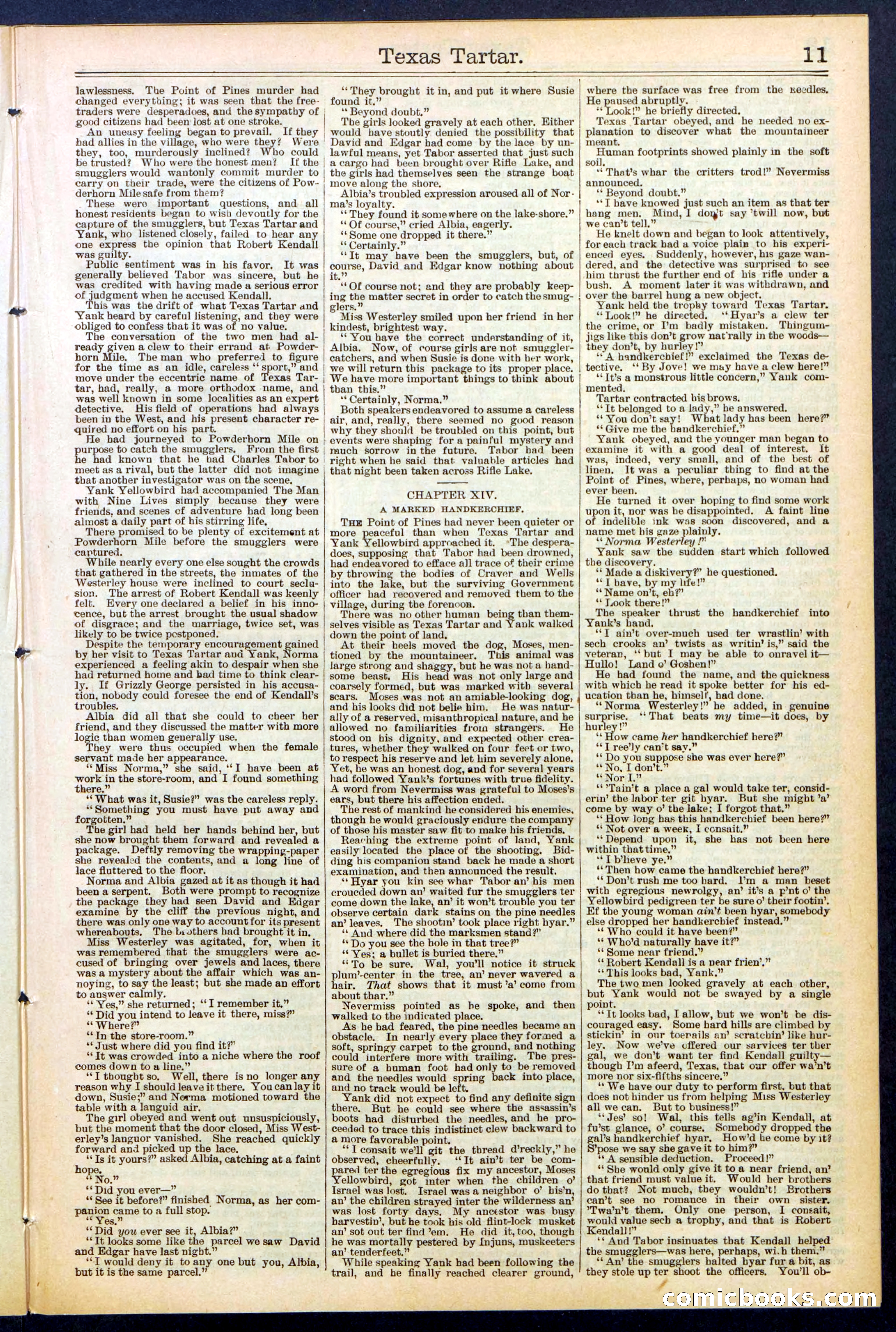 Beadle's New York Dime Library No. 513 — page 11 of 32