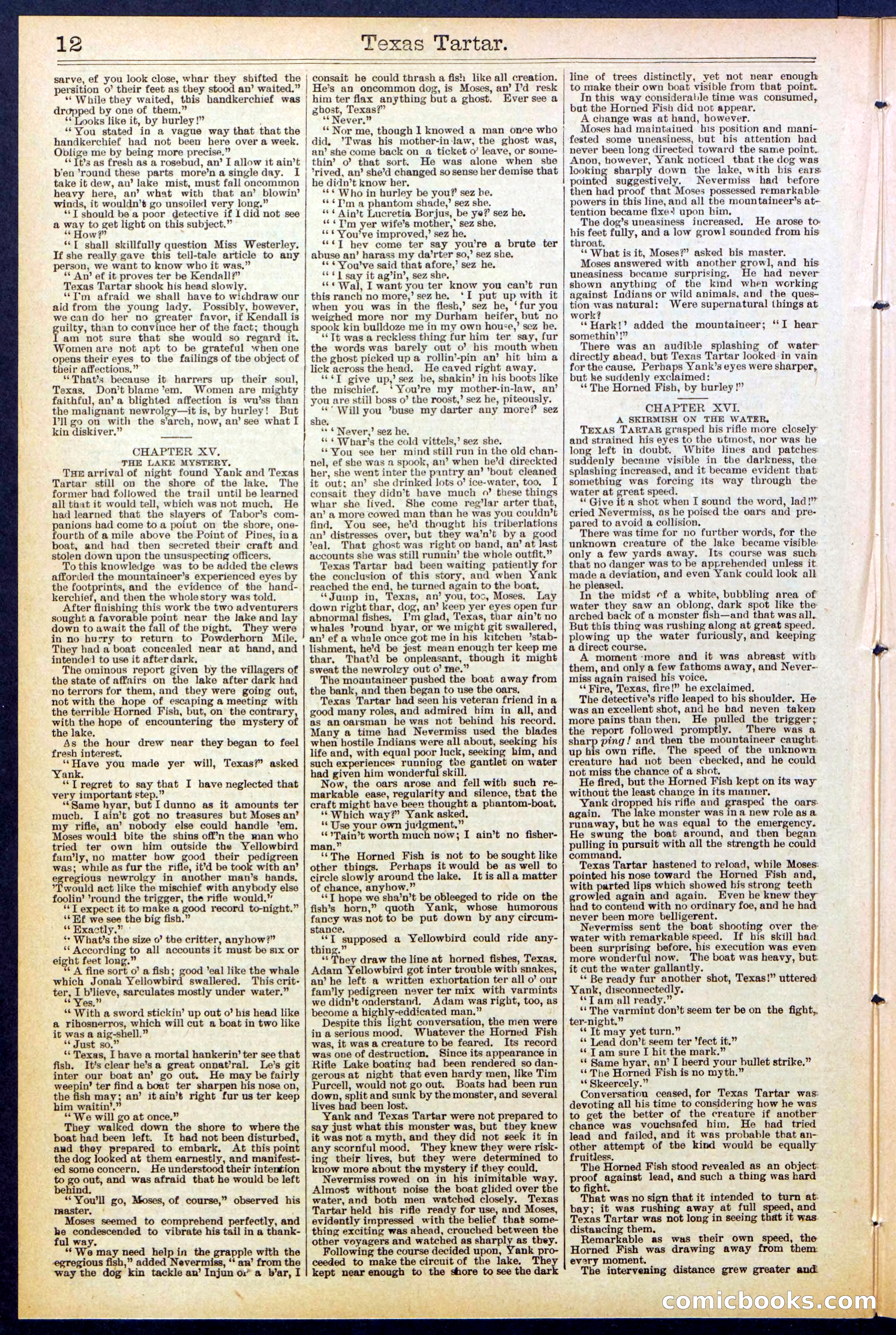 Beadle's New York Dime Library No. 513 — page 12 of 32