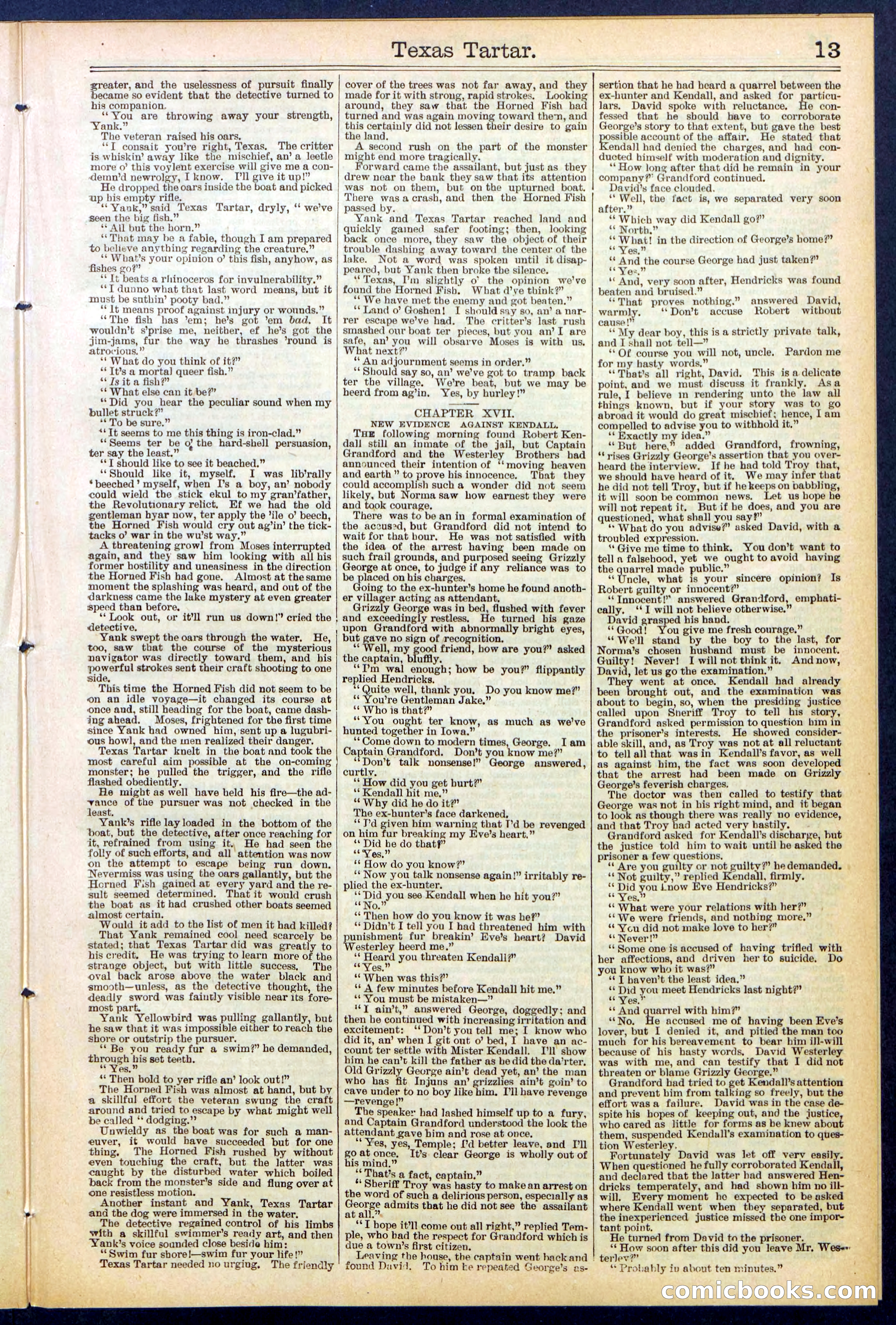 Beadle's New York Dime Library No. 513 — page 13 of 32