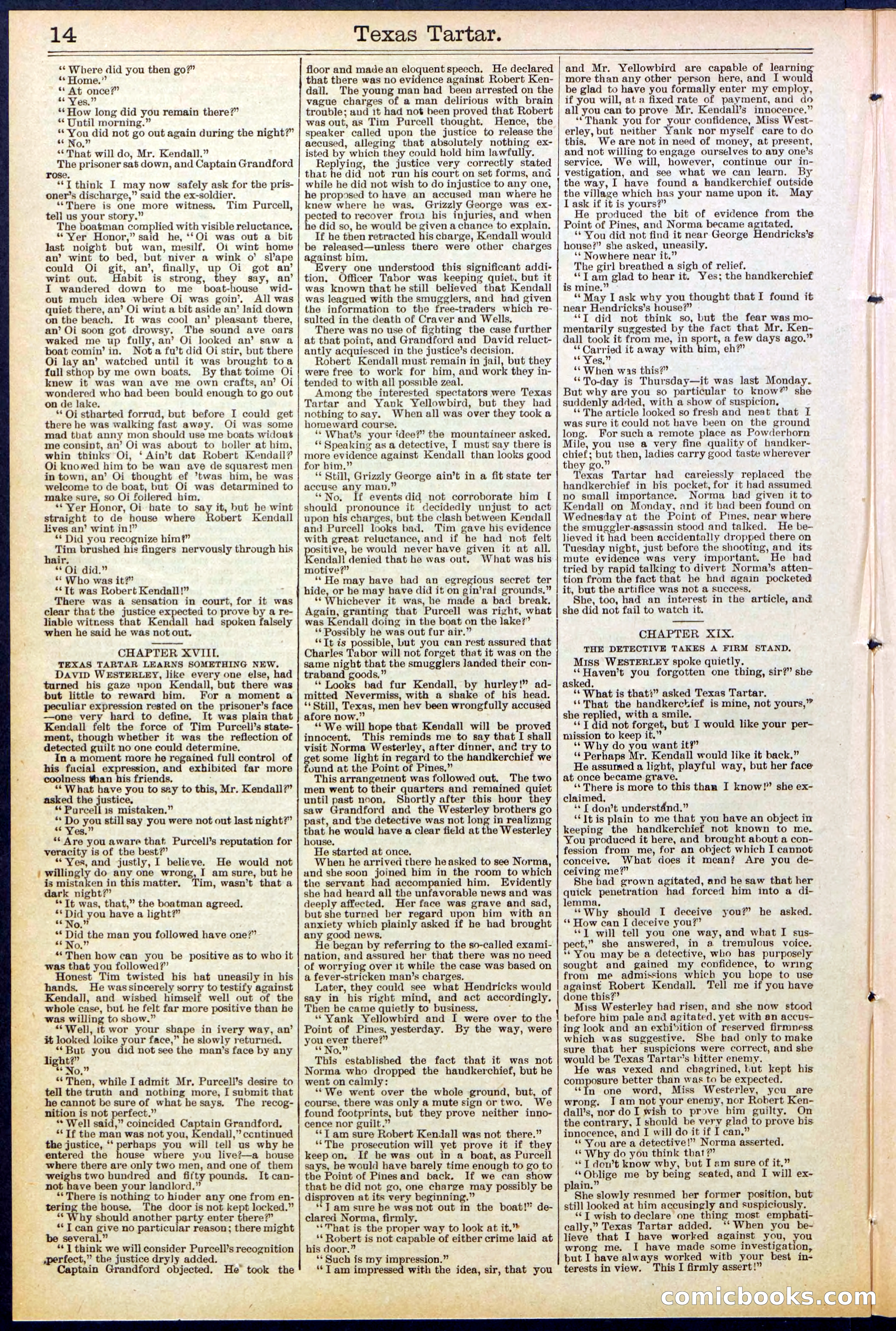 Beadle's New York Dime Library No. 513 — page 14 of 32