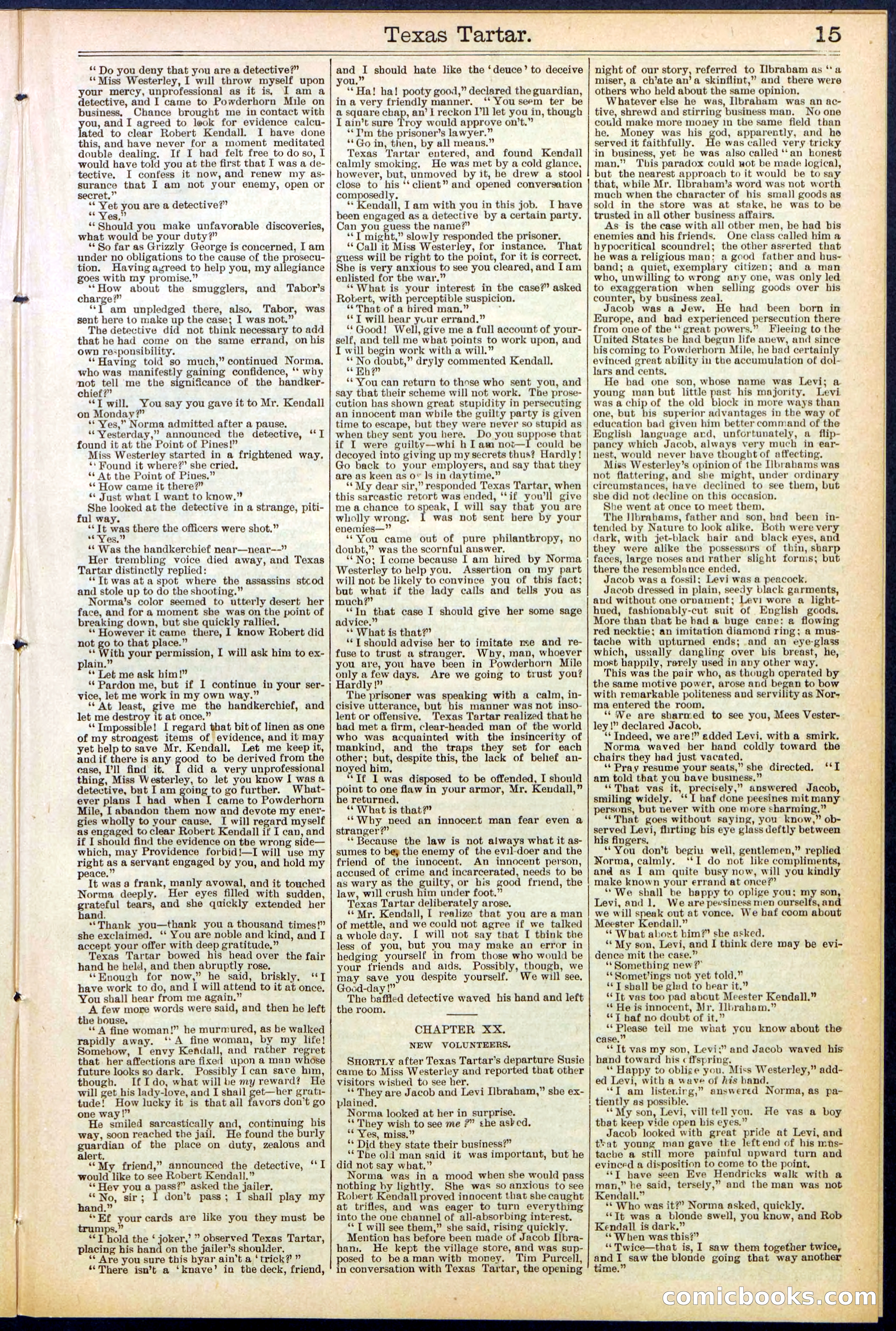 Beadle's New York Dime Library No. 513 — page 15 of 32