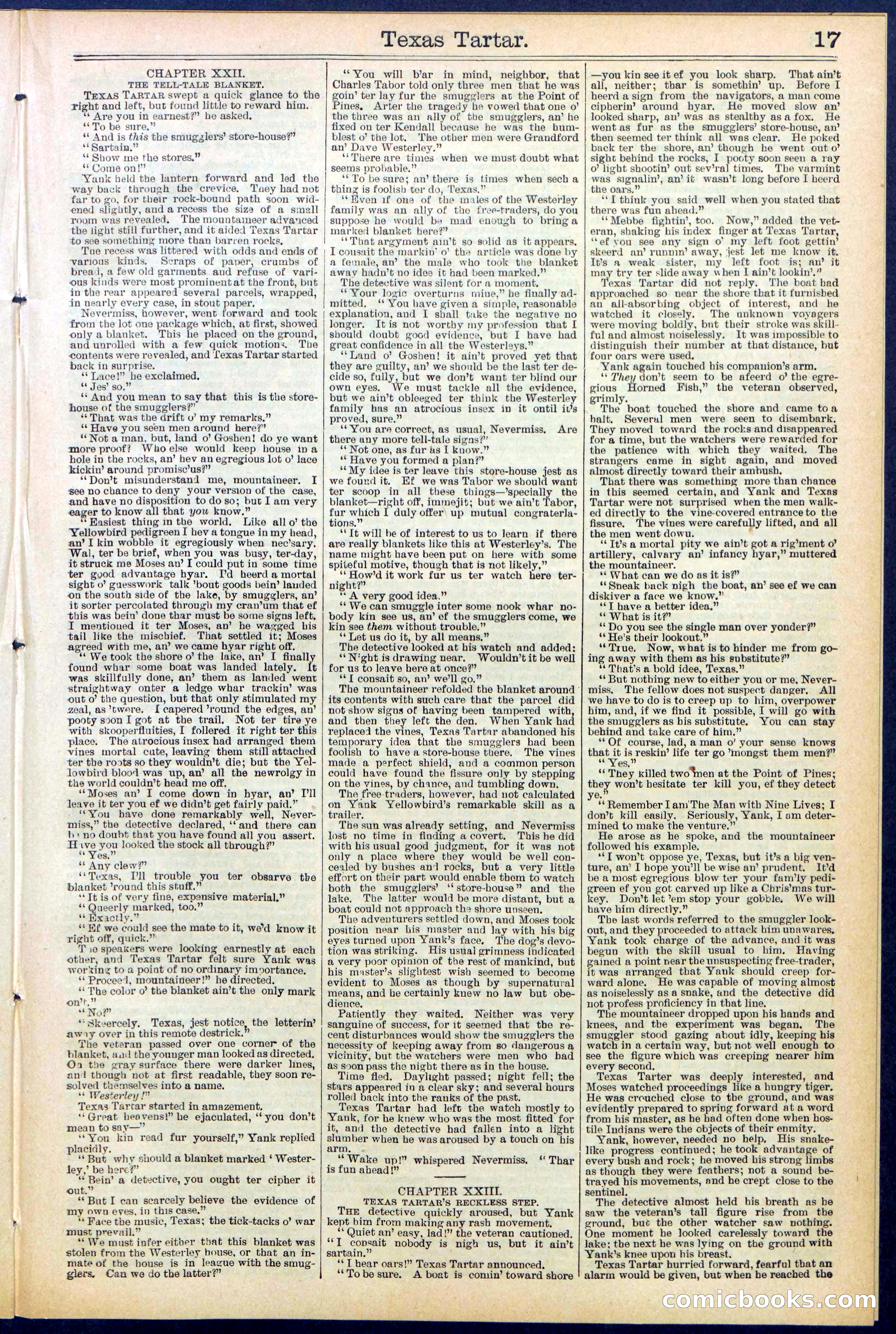 Beadle's New York Dime Library No. 513 — page 17 of 32