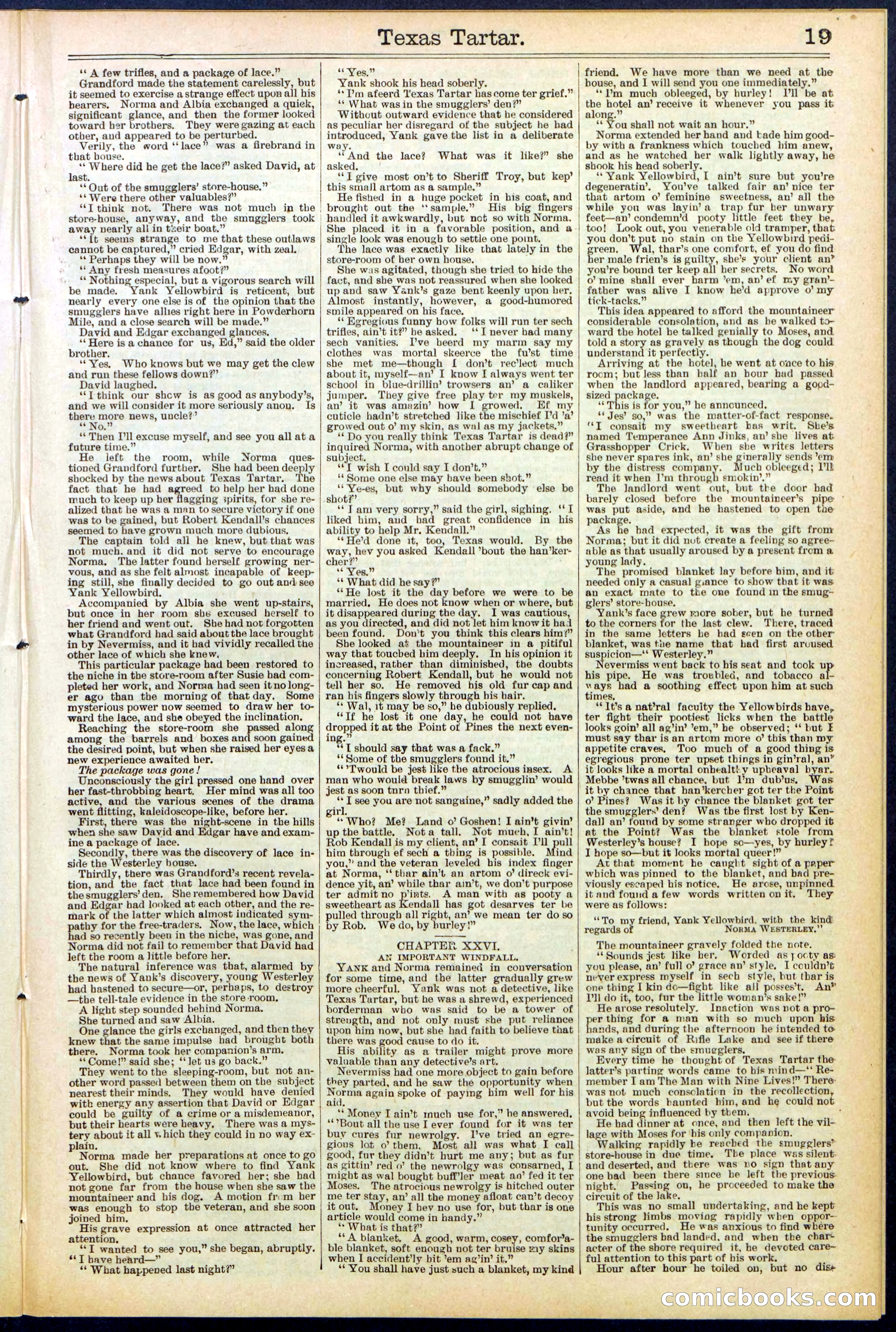 Beadle's New York Dime Library No. 513 — page 19 of 32
