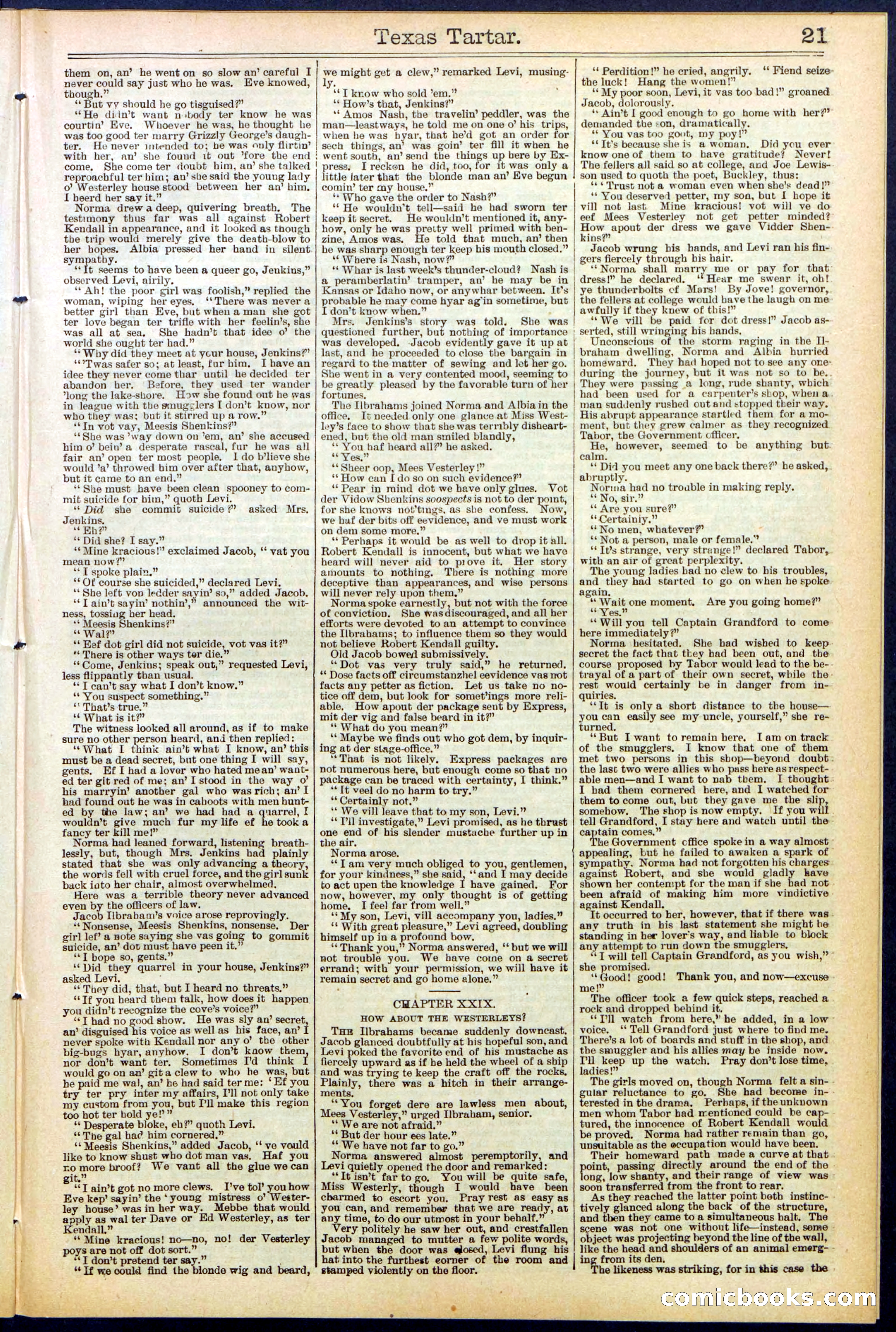 Beadle's New York Dime Library No. 513 — page 21 of 32