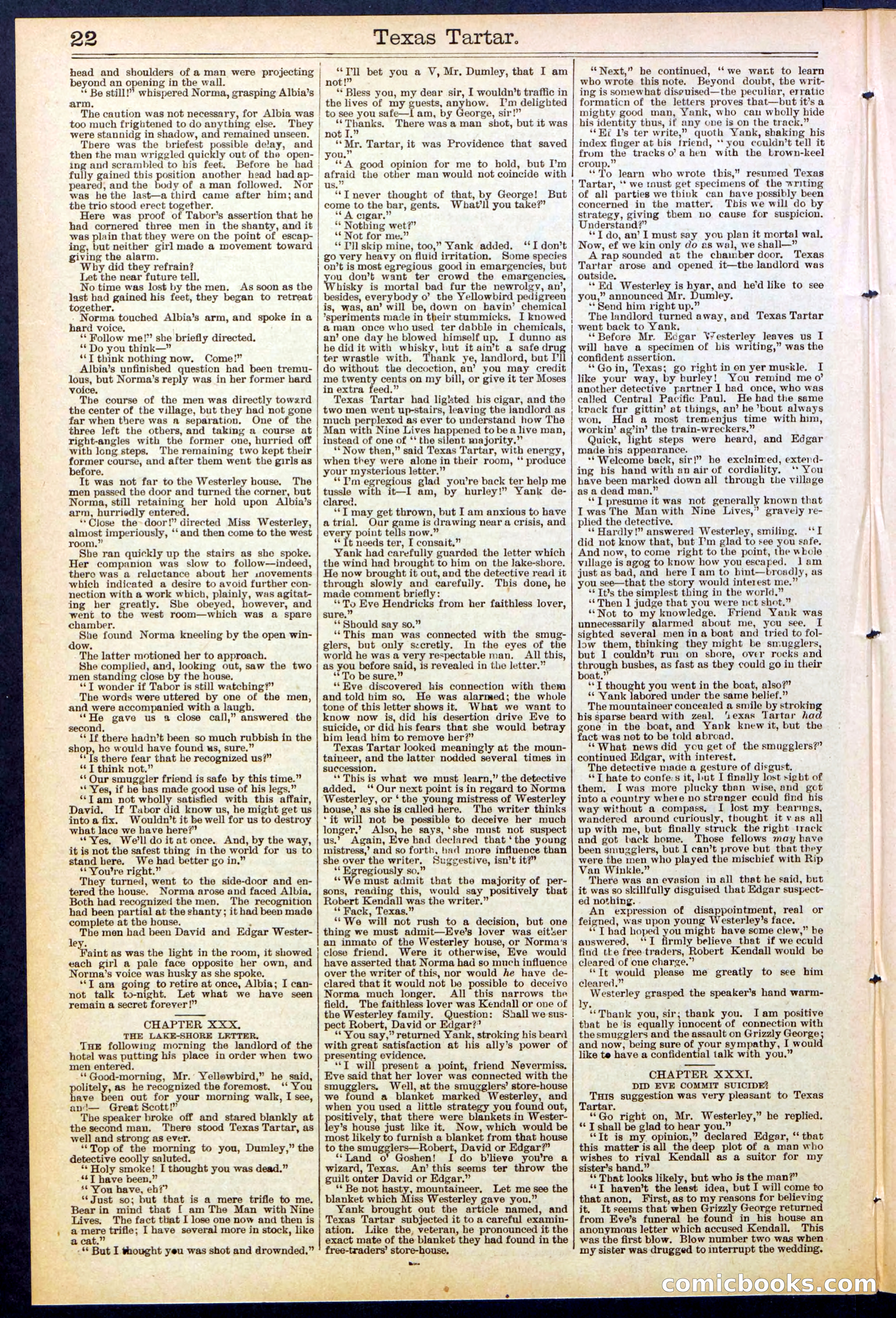 Beadle's New York Dime Library No. 513 — page 22 of 32