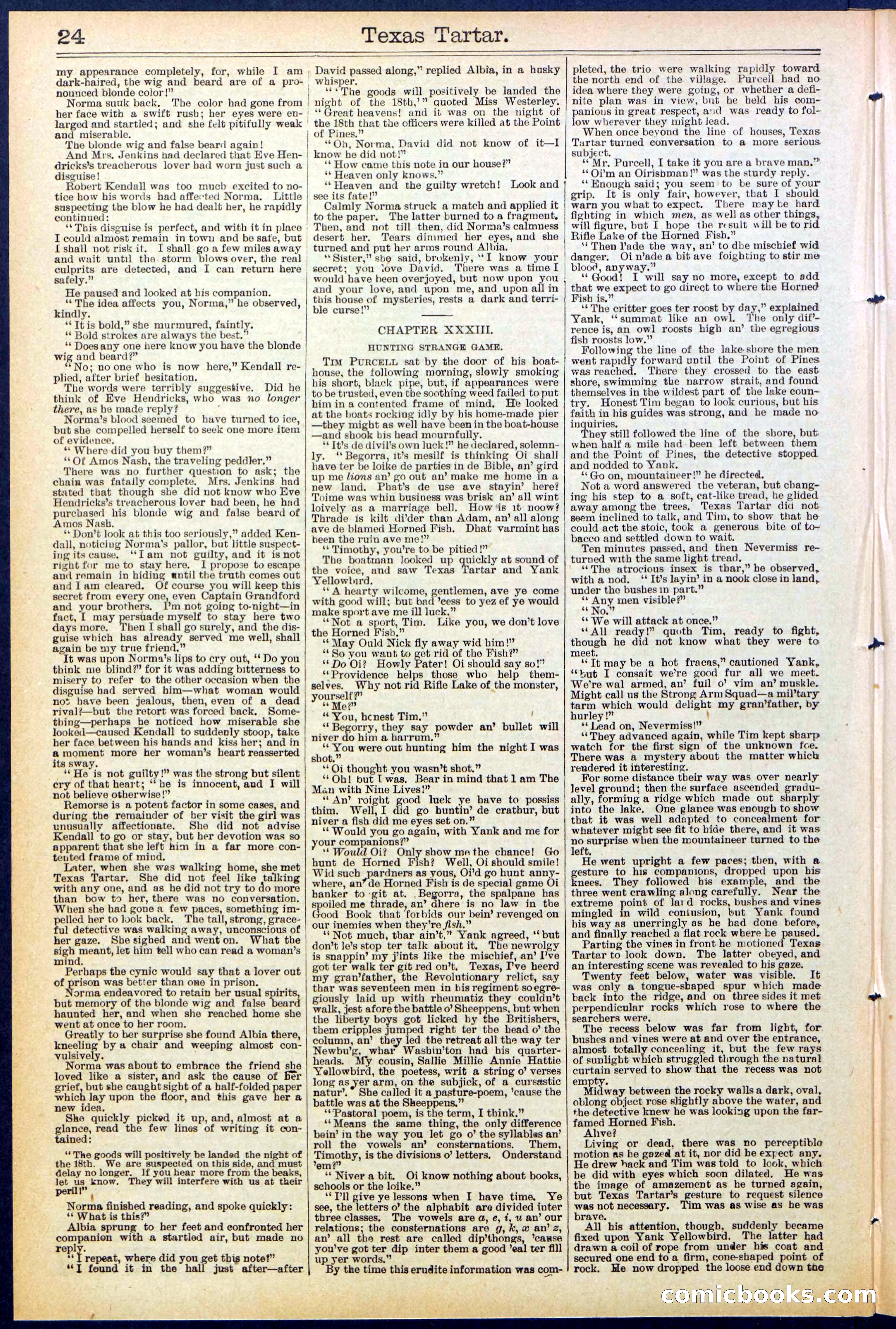Beadle's New York Dime Library No. 513 — page 24 of 32