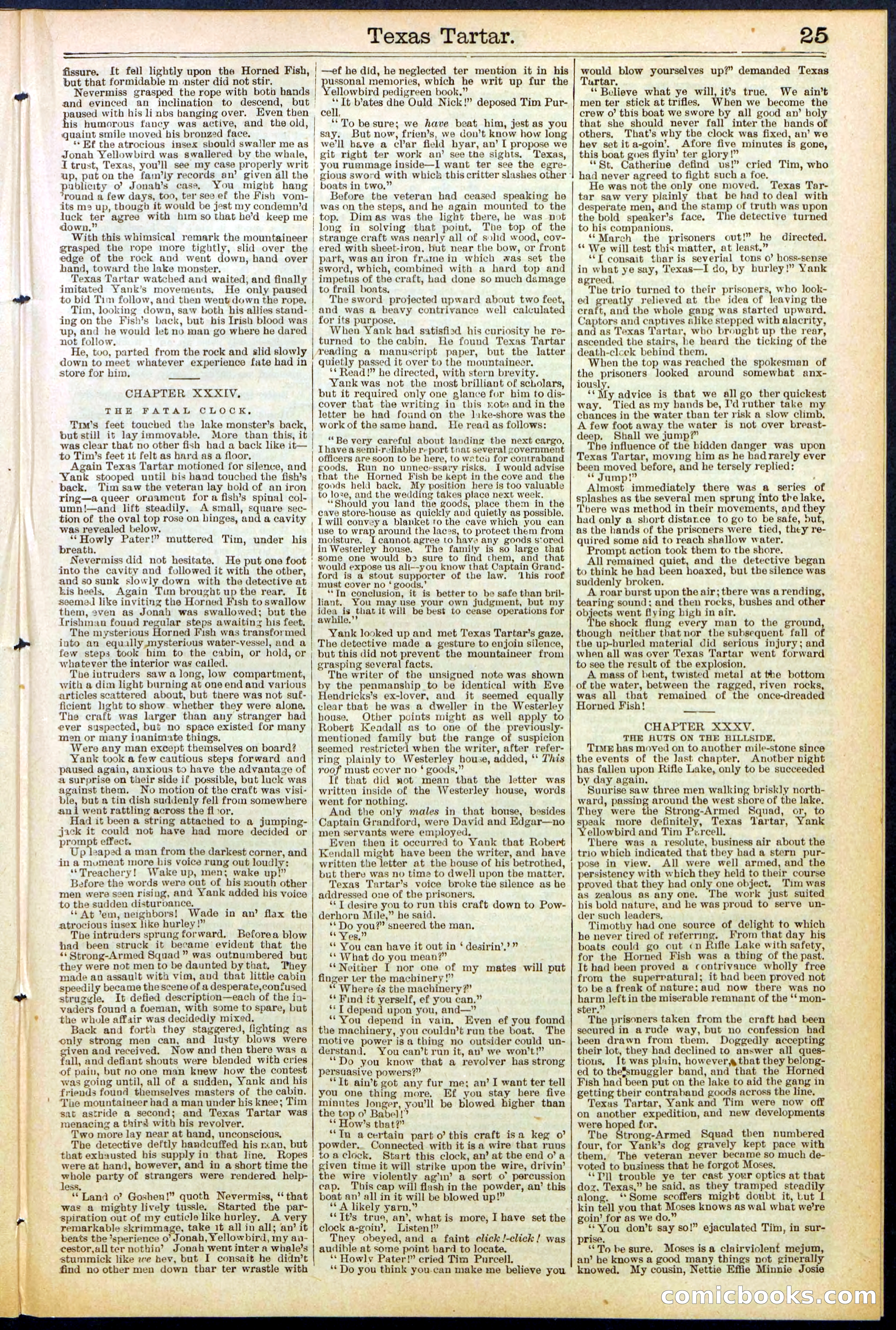 Beadle's New York Dime Library No. 513 — page 25 of 32