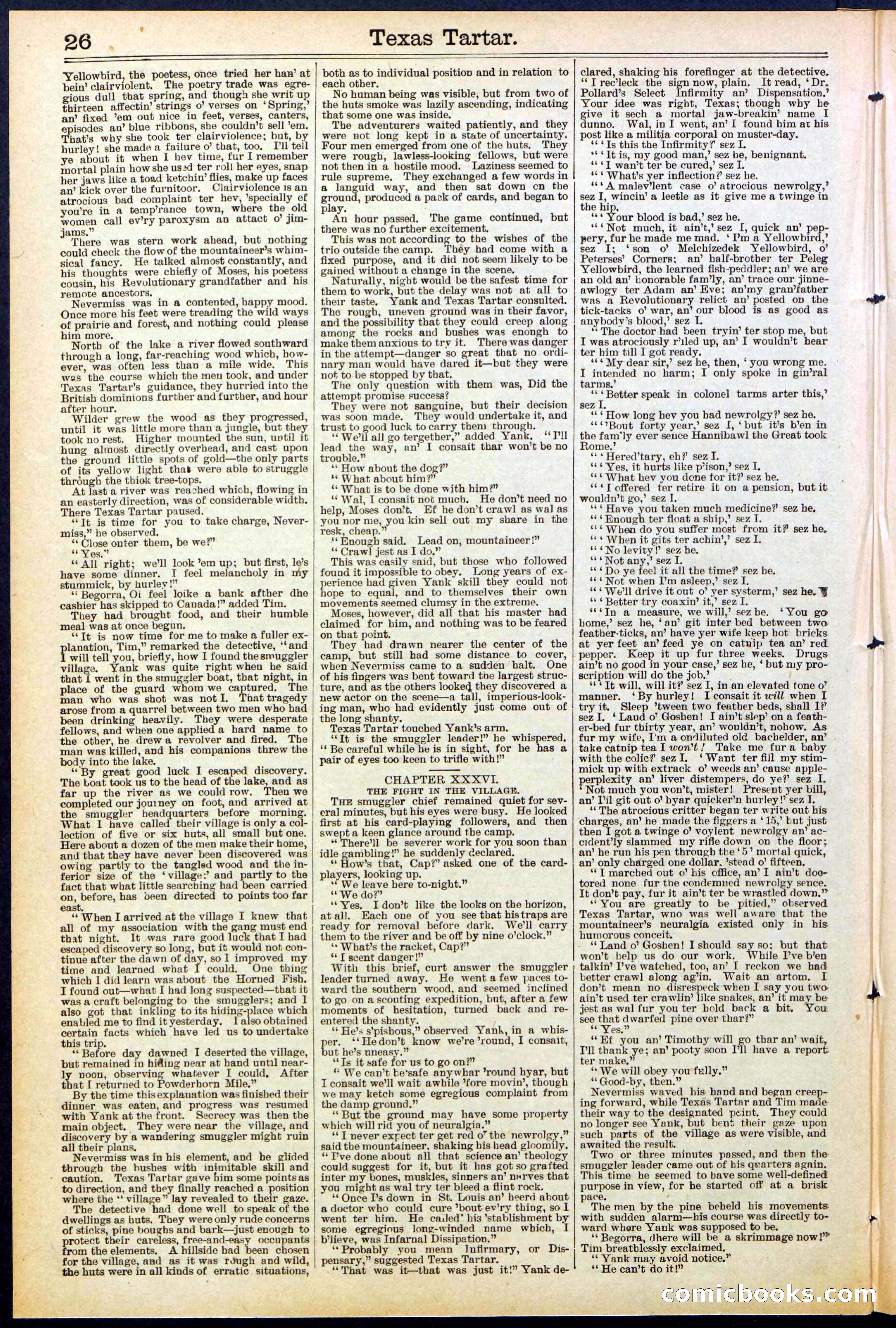 Beadle's New York Dime Library No. 513 — page 26 of 32