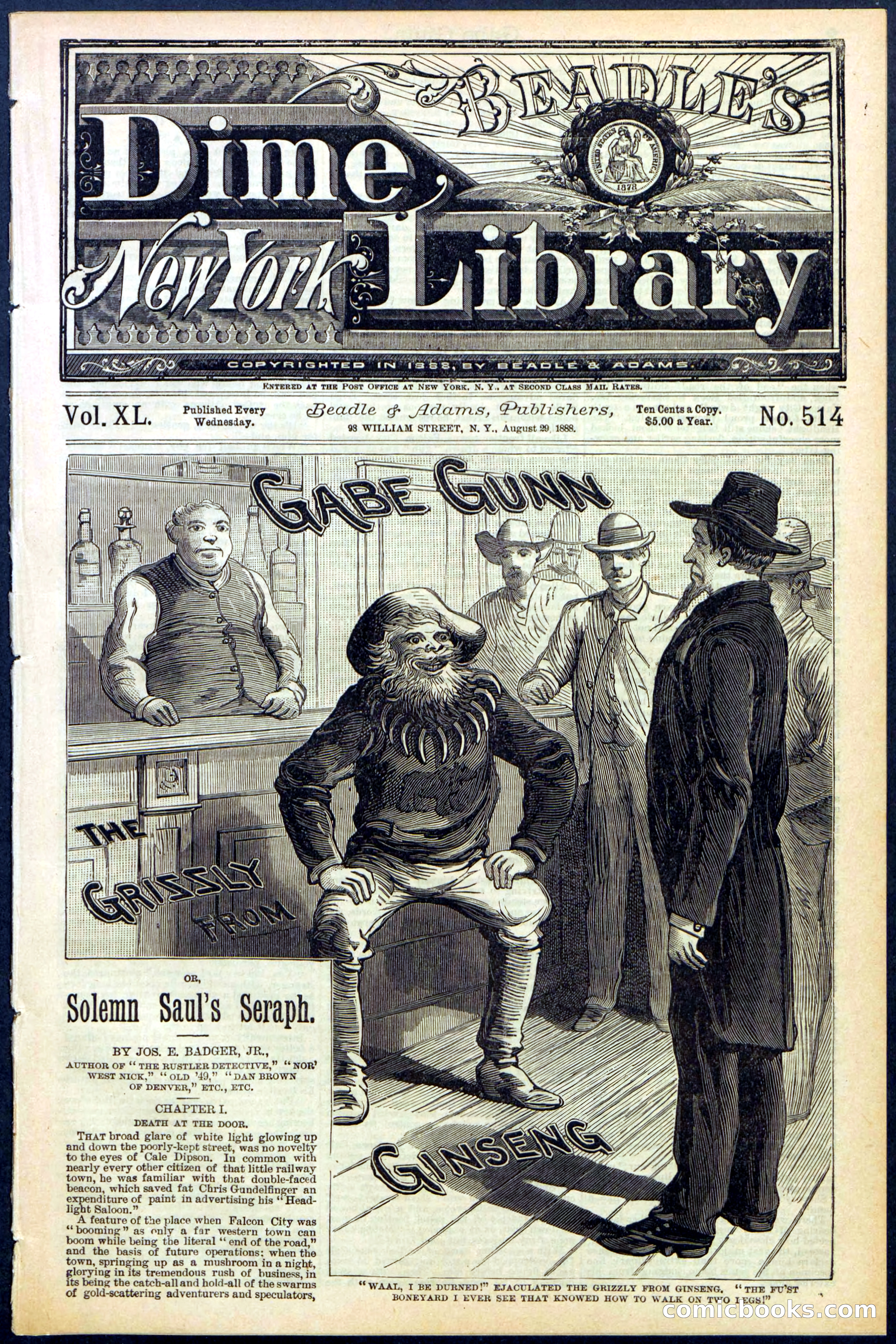 Beadle's New York Dime Library, No. 514 — page 1 of 32