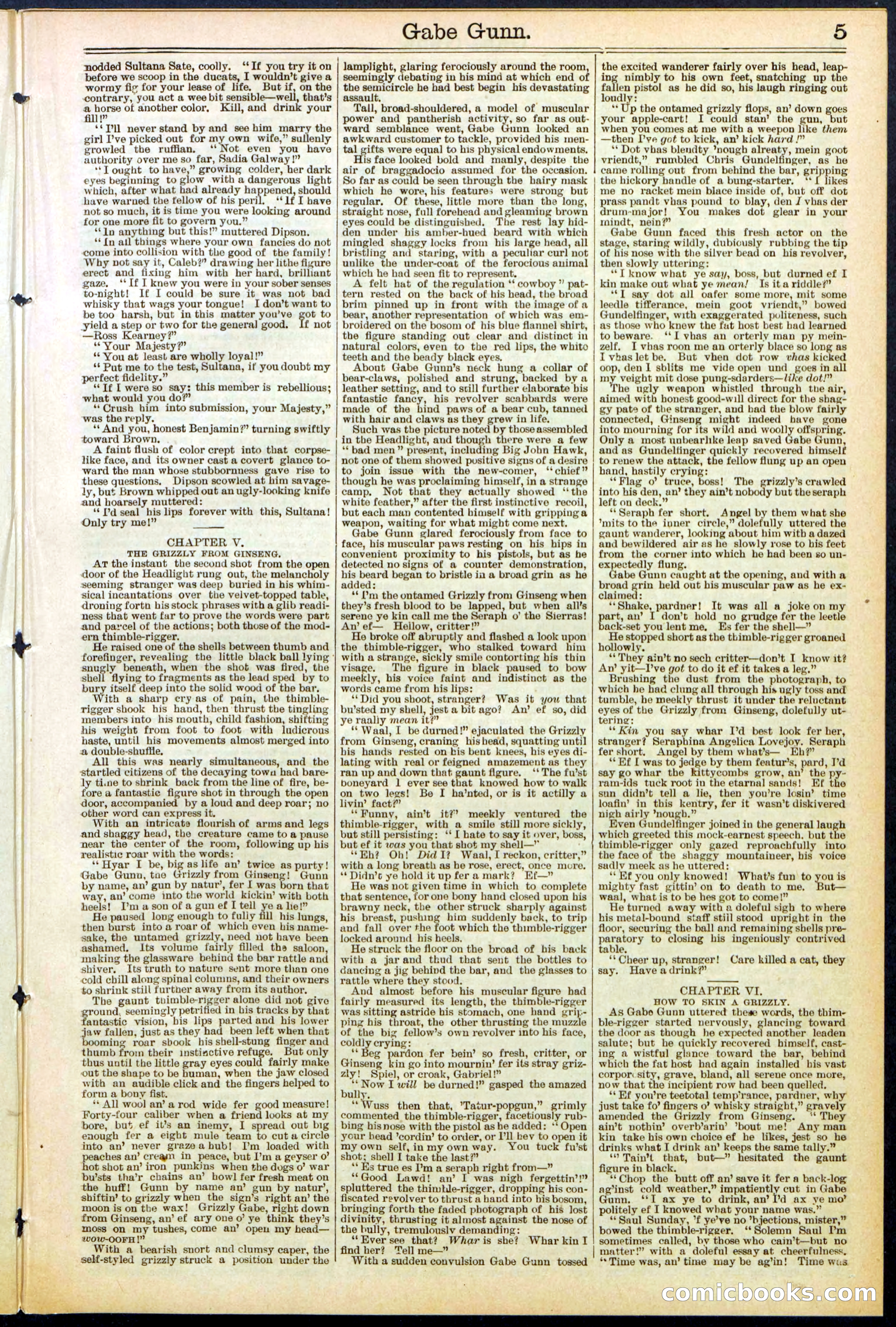 Beadle's New York Dime Library, No. 514 — page 5 of 32