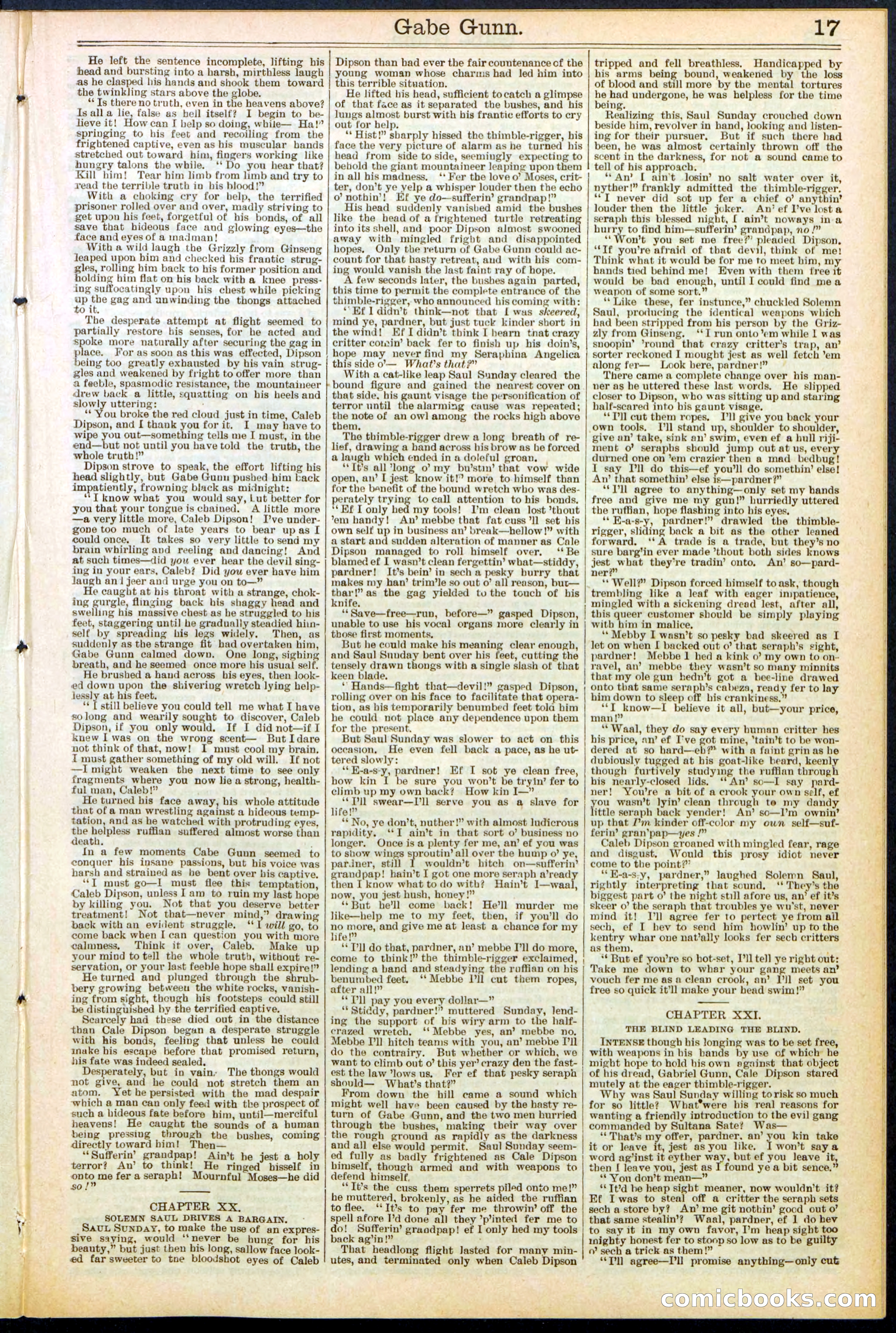 Beadle's New York Dime Library, No. 514 — page 17 of 32