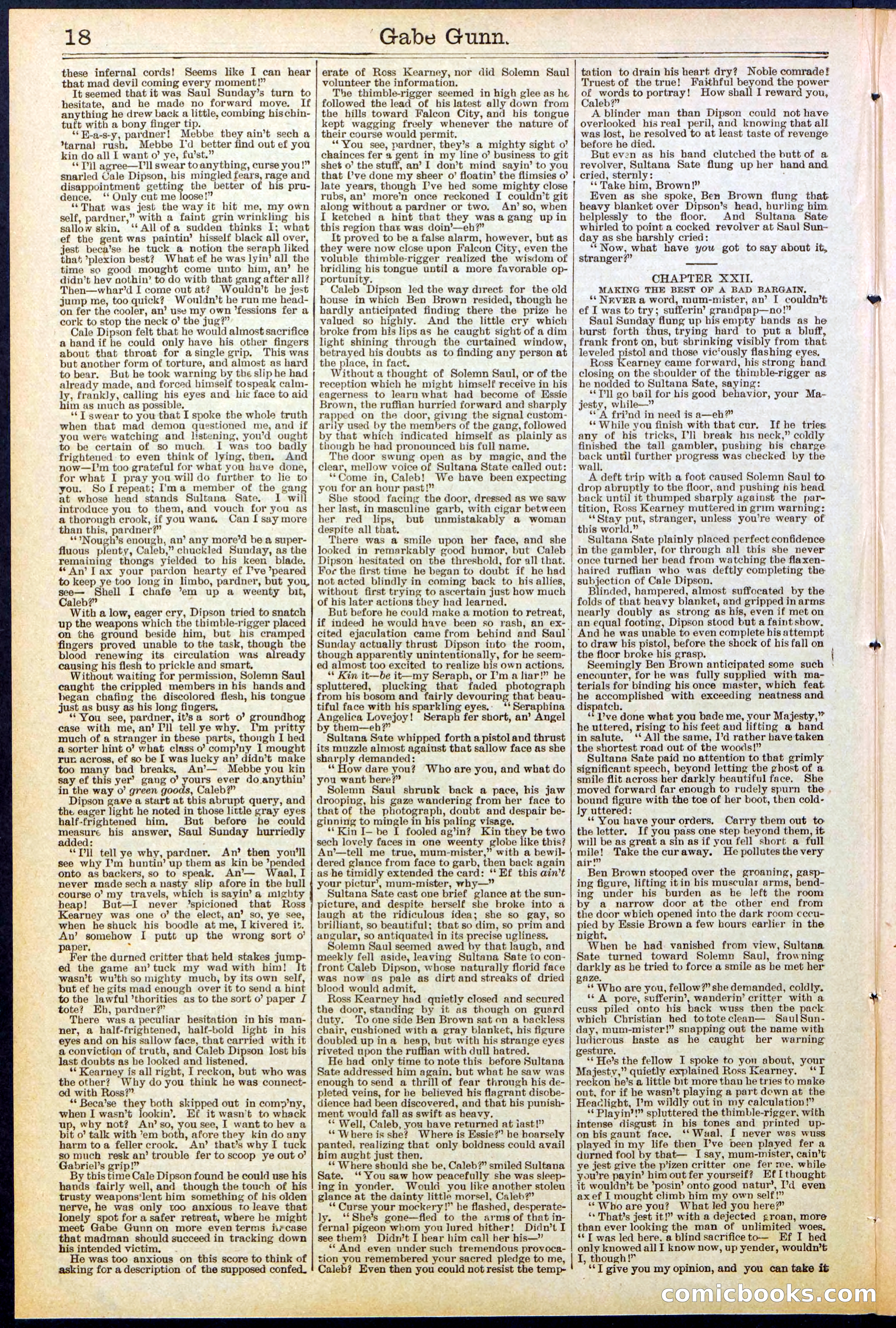 Beadle's New York Dime Library, No. 514 — page 18 of 32