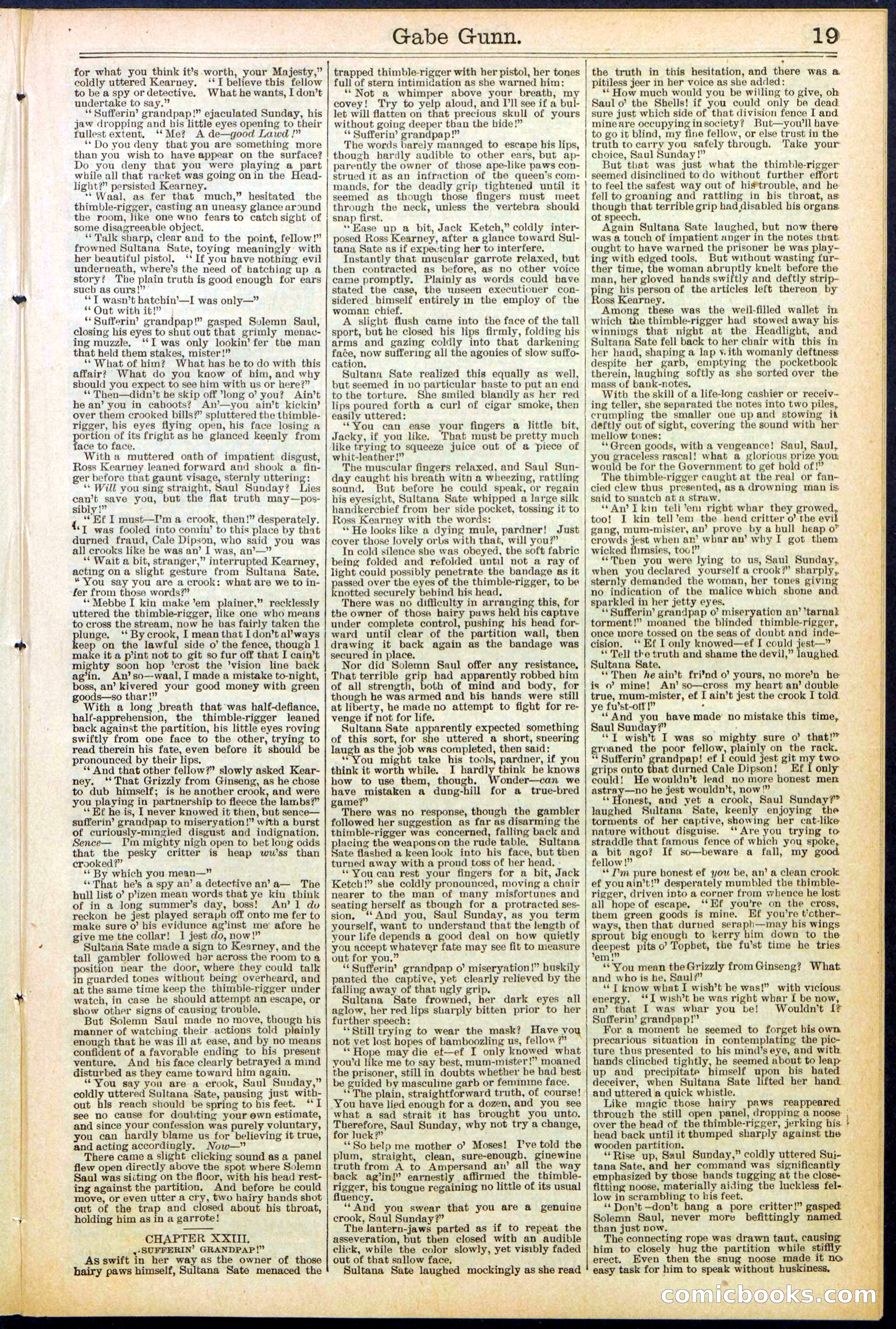 Beadle's New York Dime Library, No. 514 — page 19 of 32