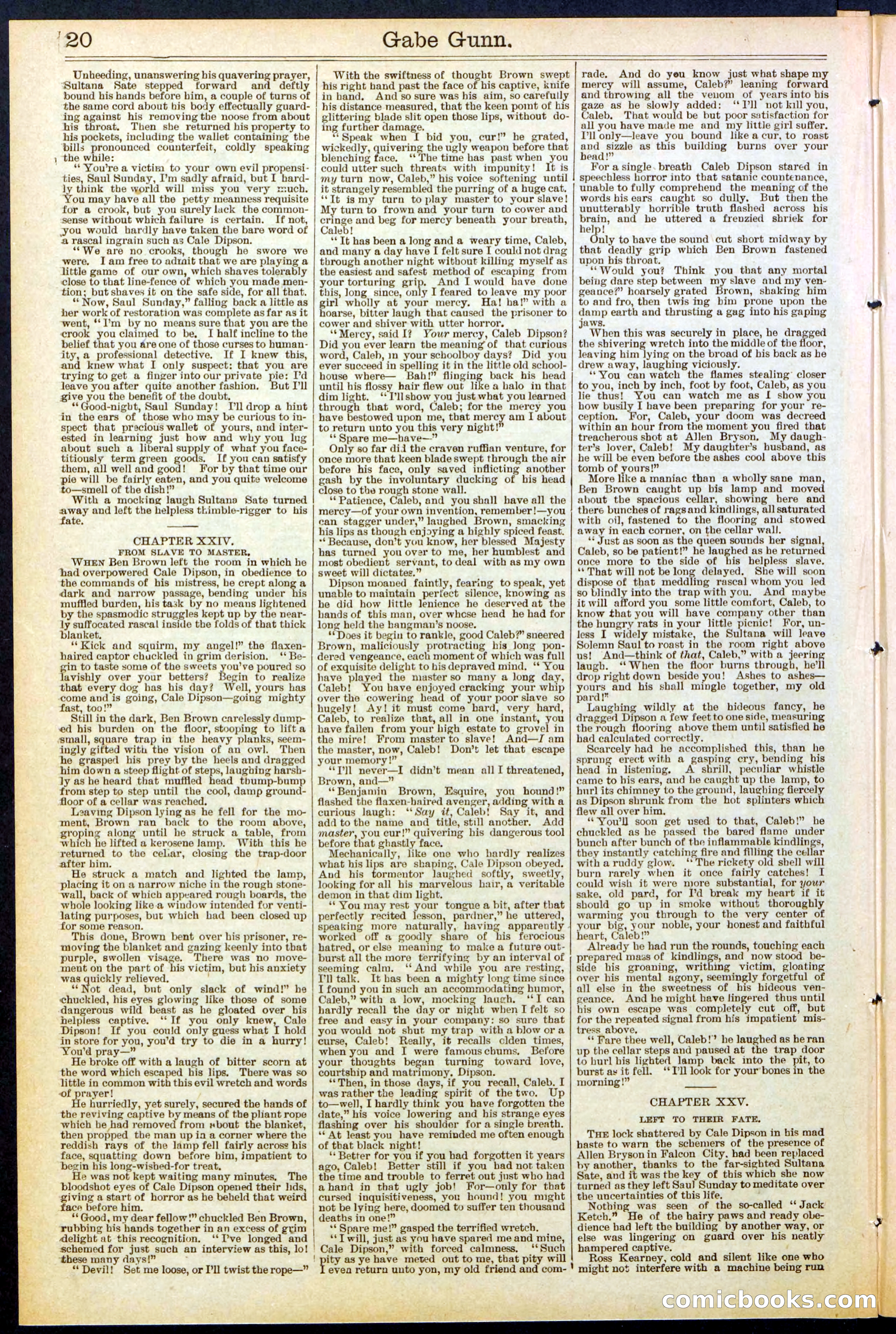 Beadle's New York Dime Library, No. 514 — page 20 of 32