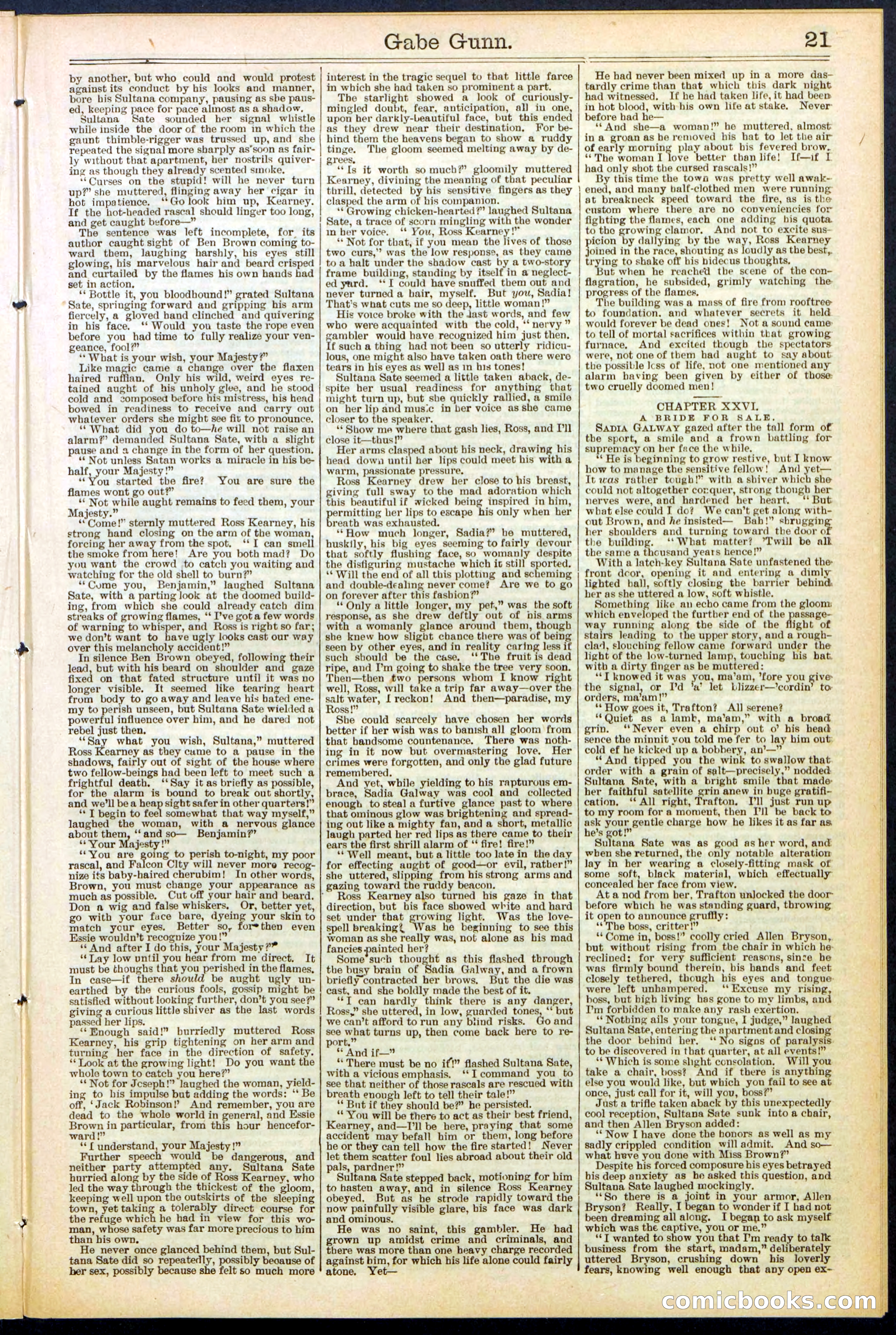 Beadle's New York Dime Library, No. 514 — page 21 of 32