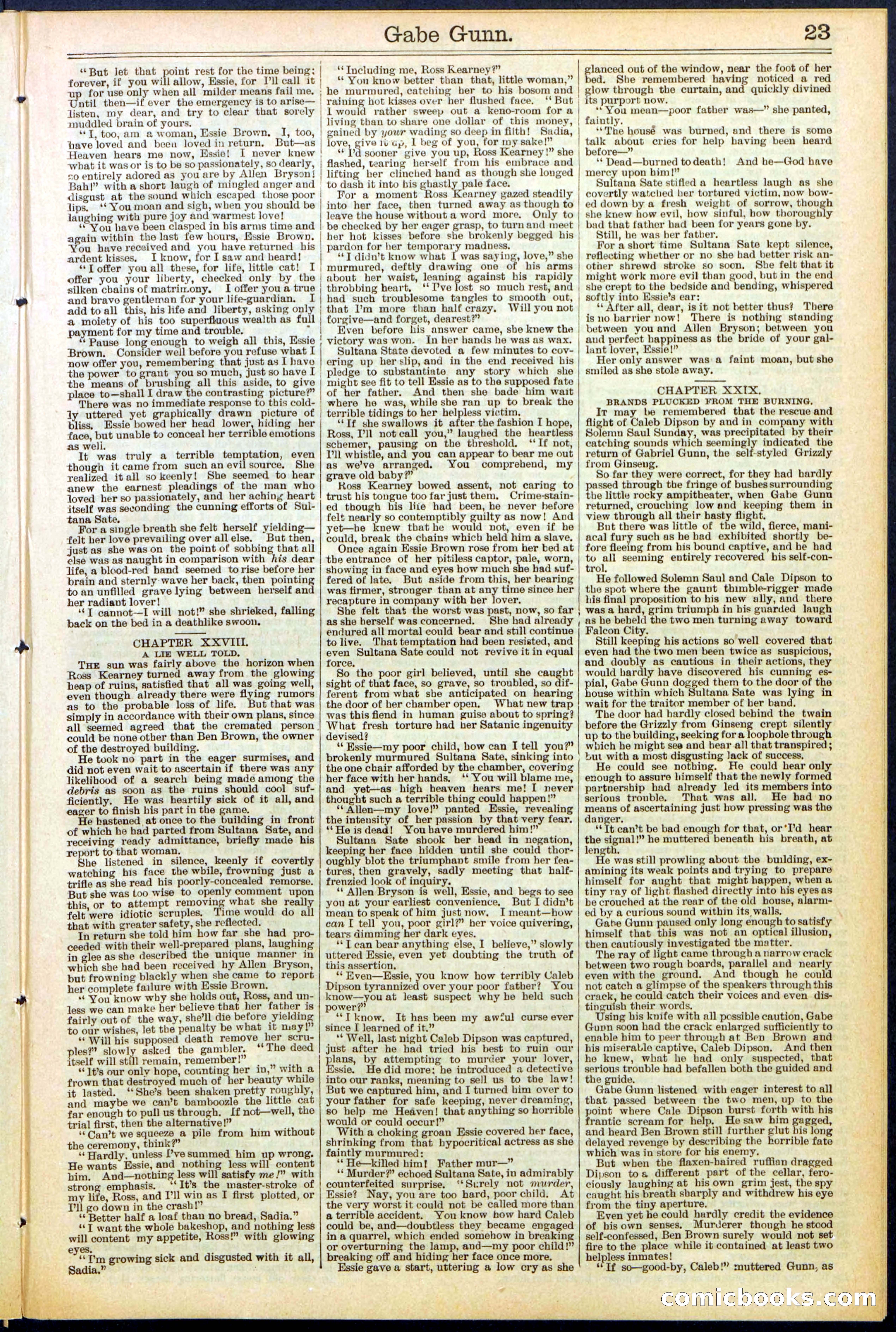 Beadle's New York Dime Library, No. 514 — page 23 of 32