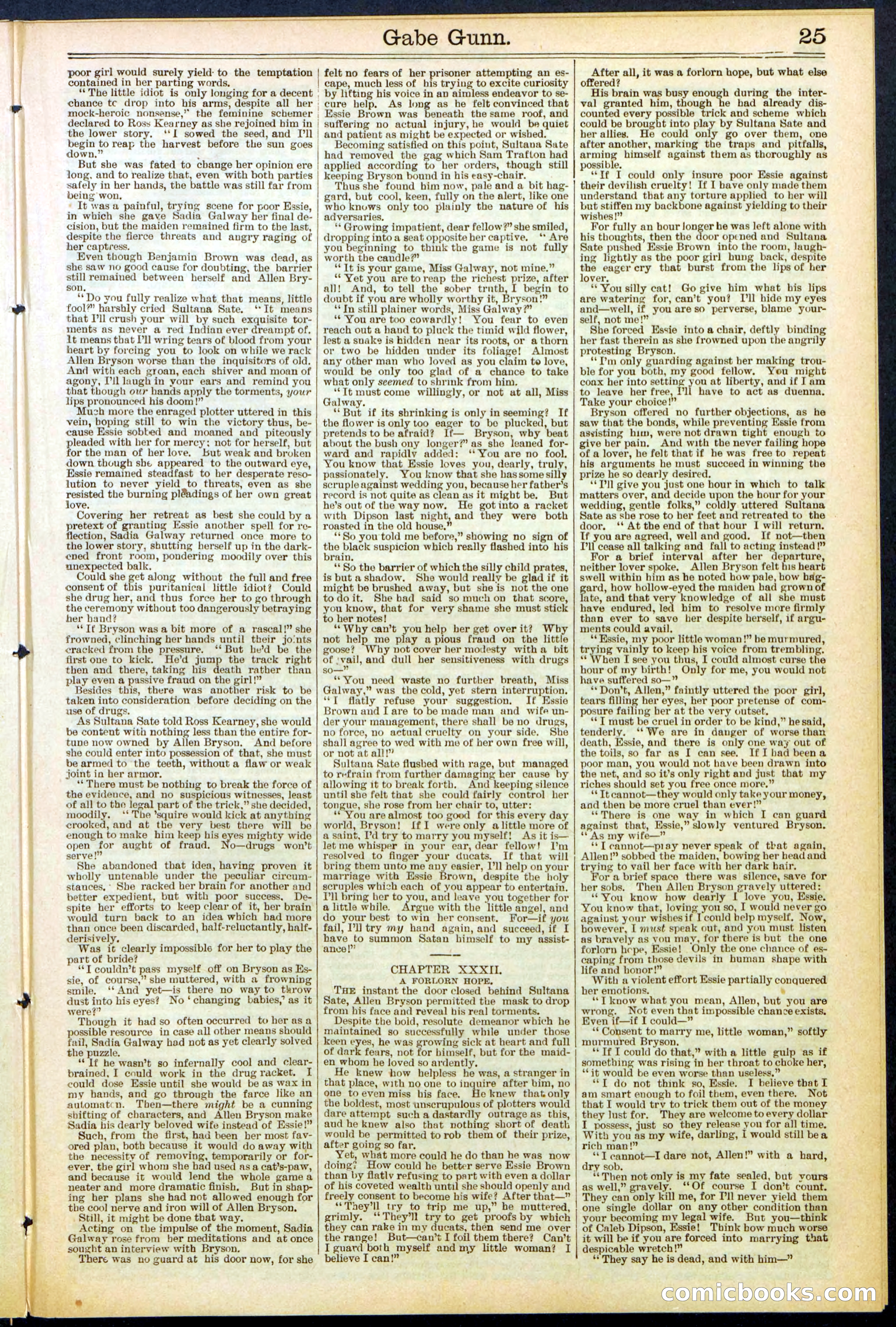 Beadle's New York Dime Library, No. 514 — page 25 of 32