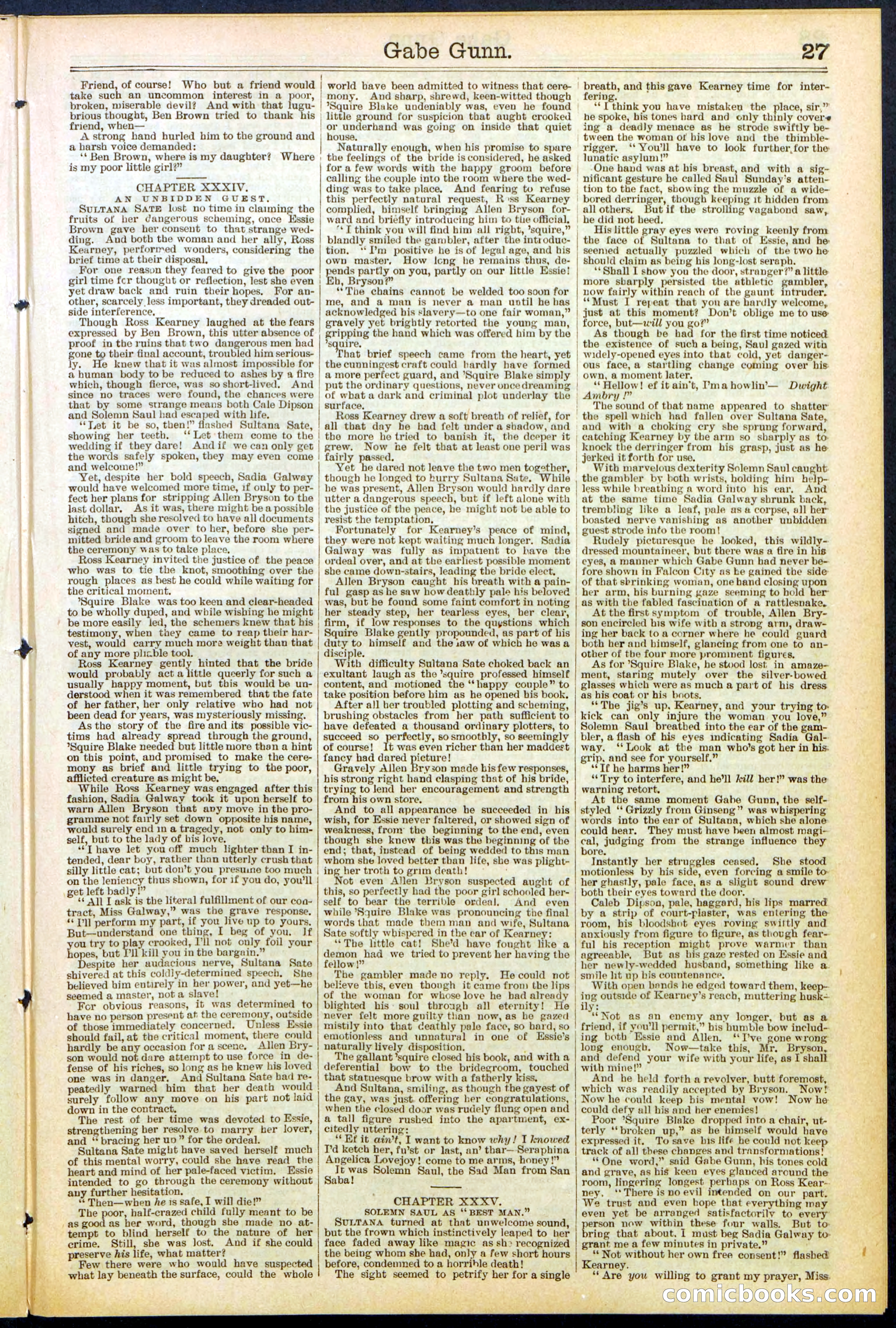 Beadle's New York Dime Library, No. 514 — page 27 of 32