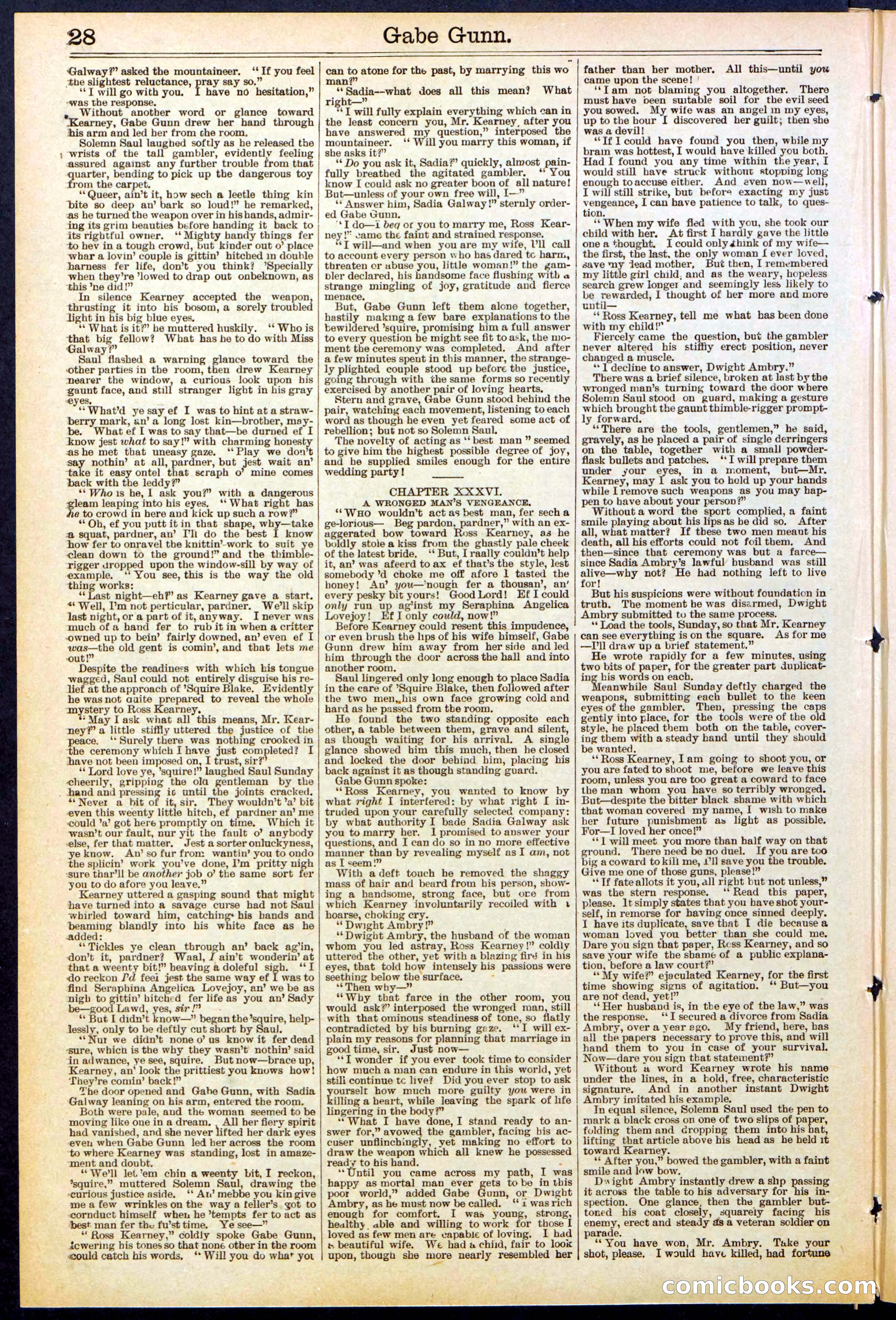 Beadle's New York Dime Library, No. 514 — page 28 of 32