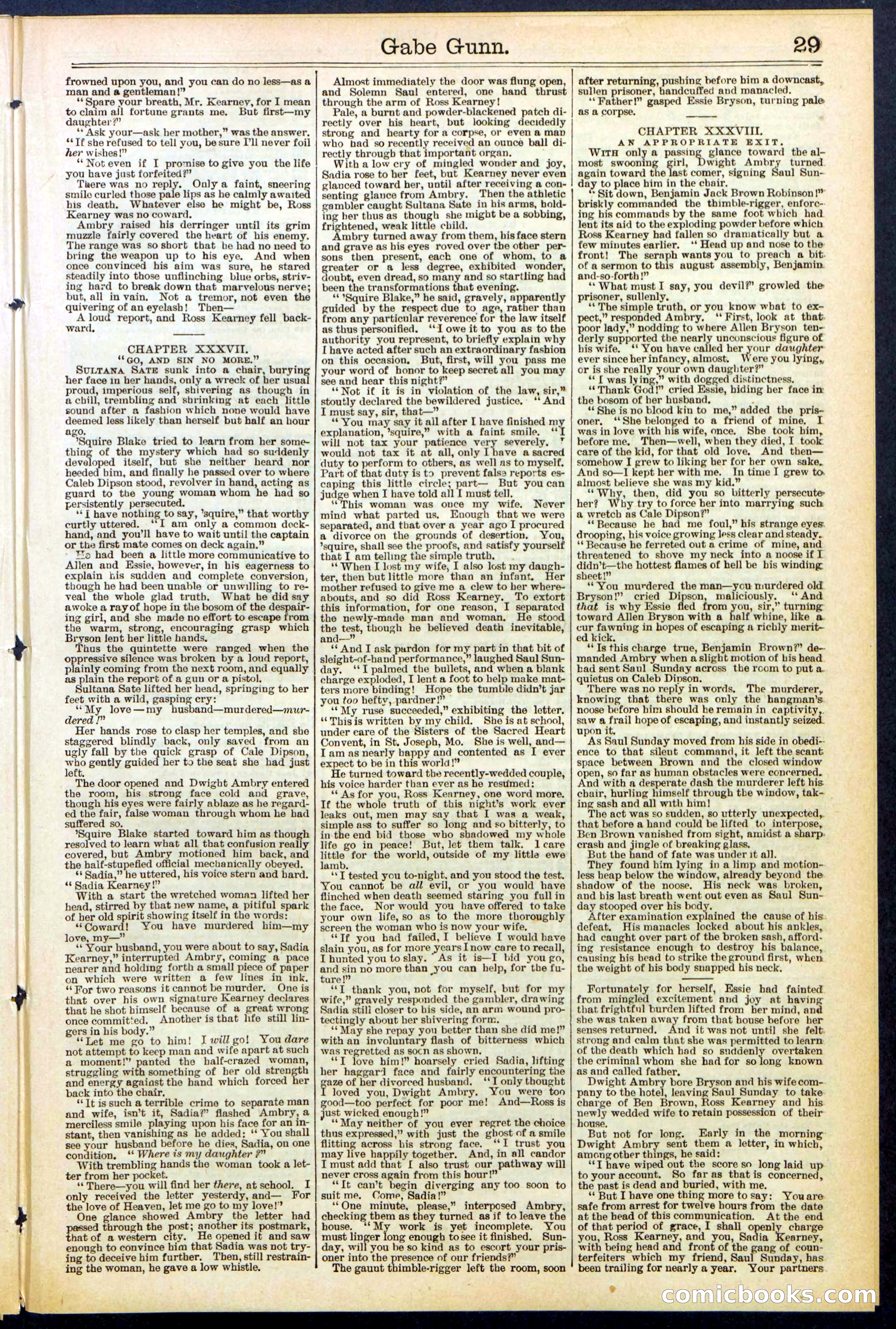 Beadle's New York Dime Library, No. 514 — page 29 of 32