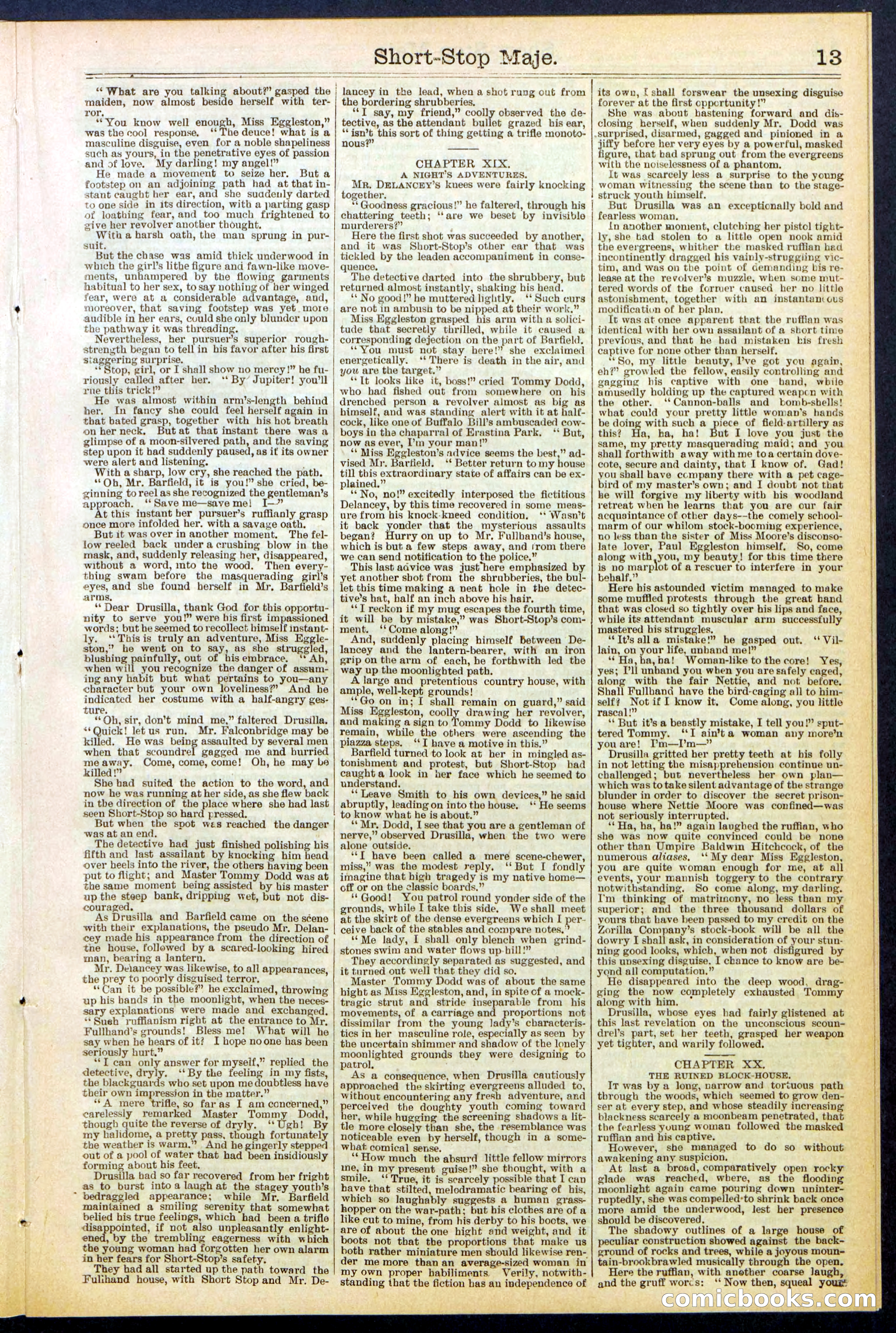 Beadle's New York Dime Library No. 515 — page 13 of 32