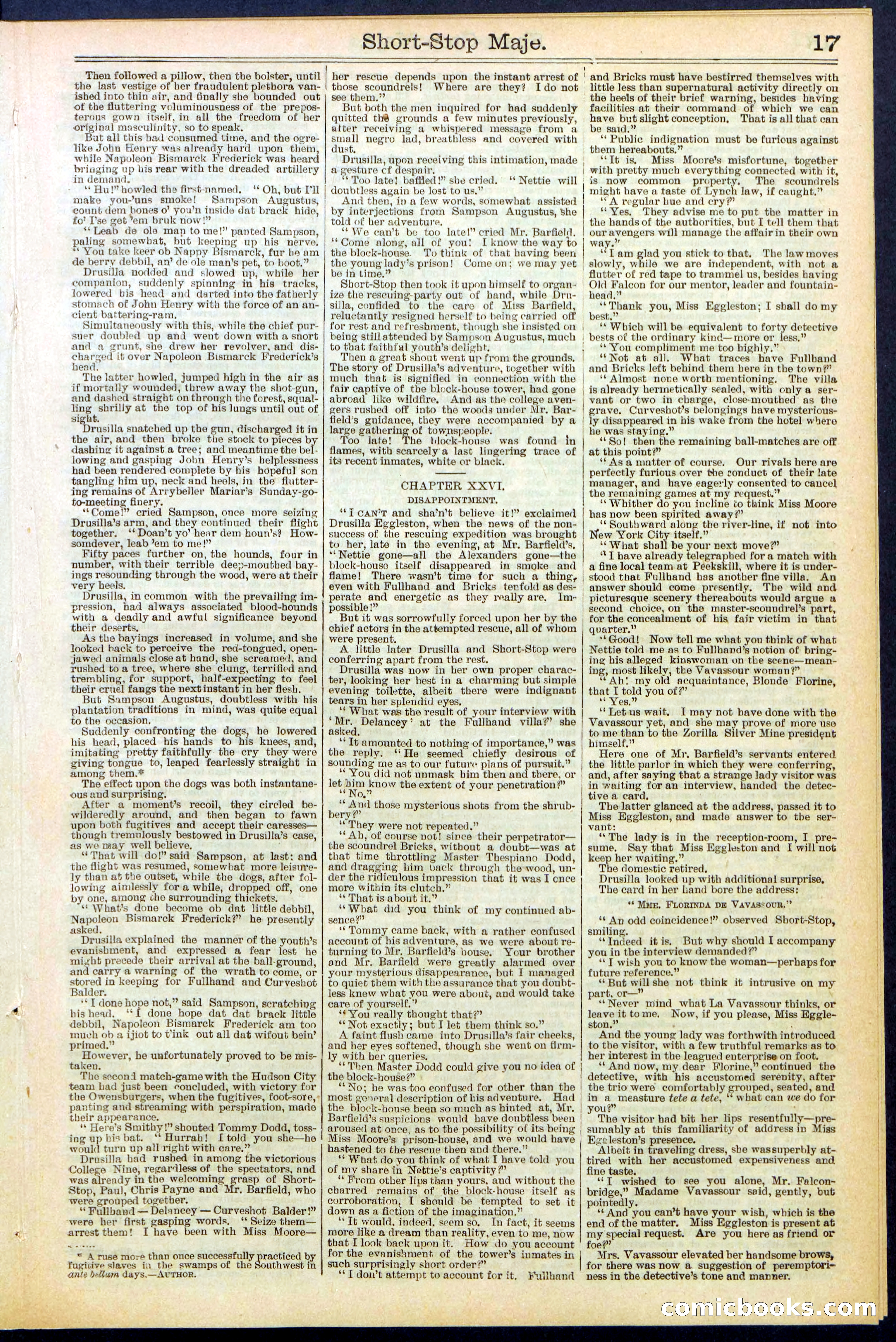 Beadle's New York Dime Library No. 515 — page 17 of 32