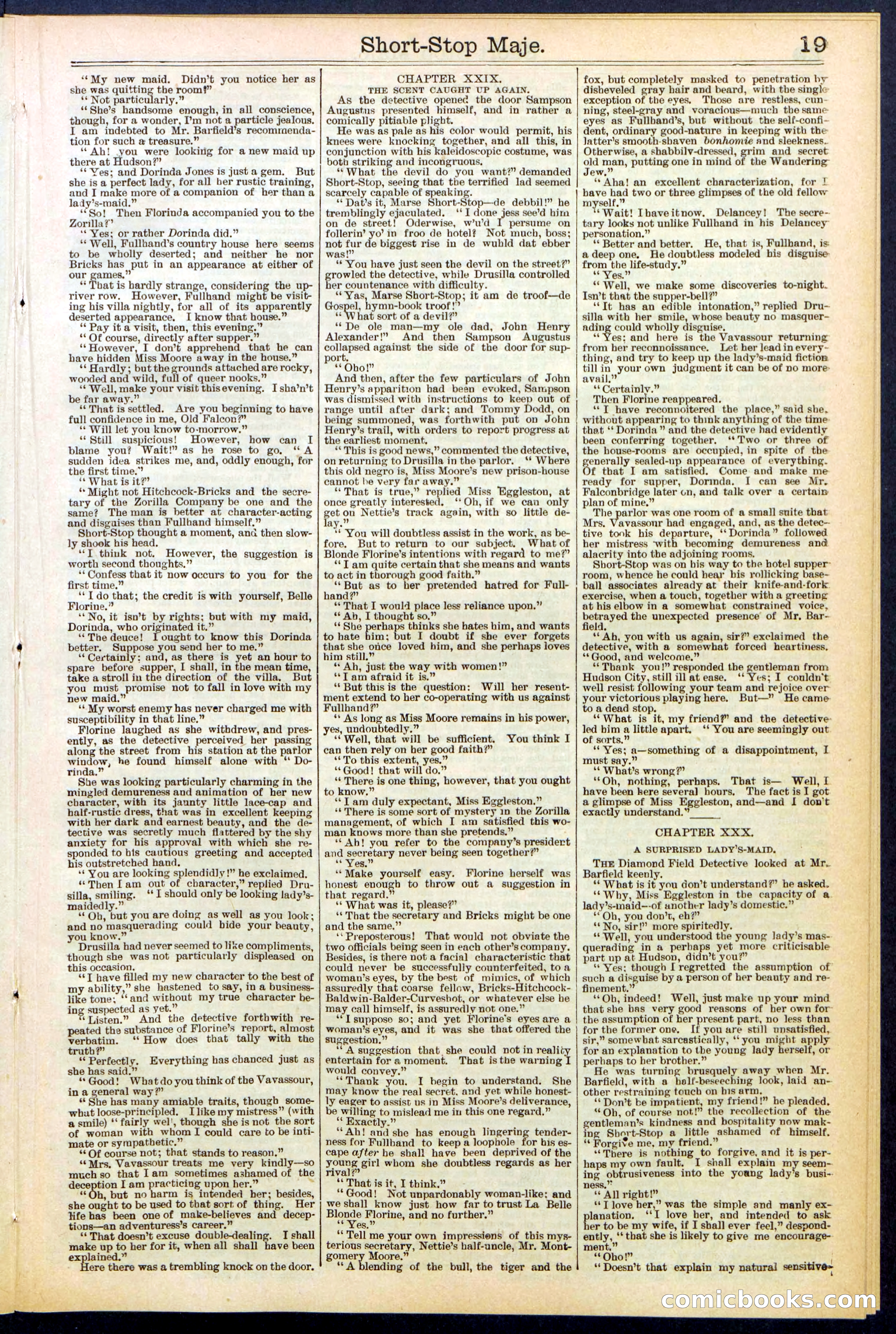 Beadle's New York Dime Library No. 515 — page 19 of 32