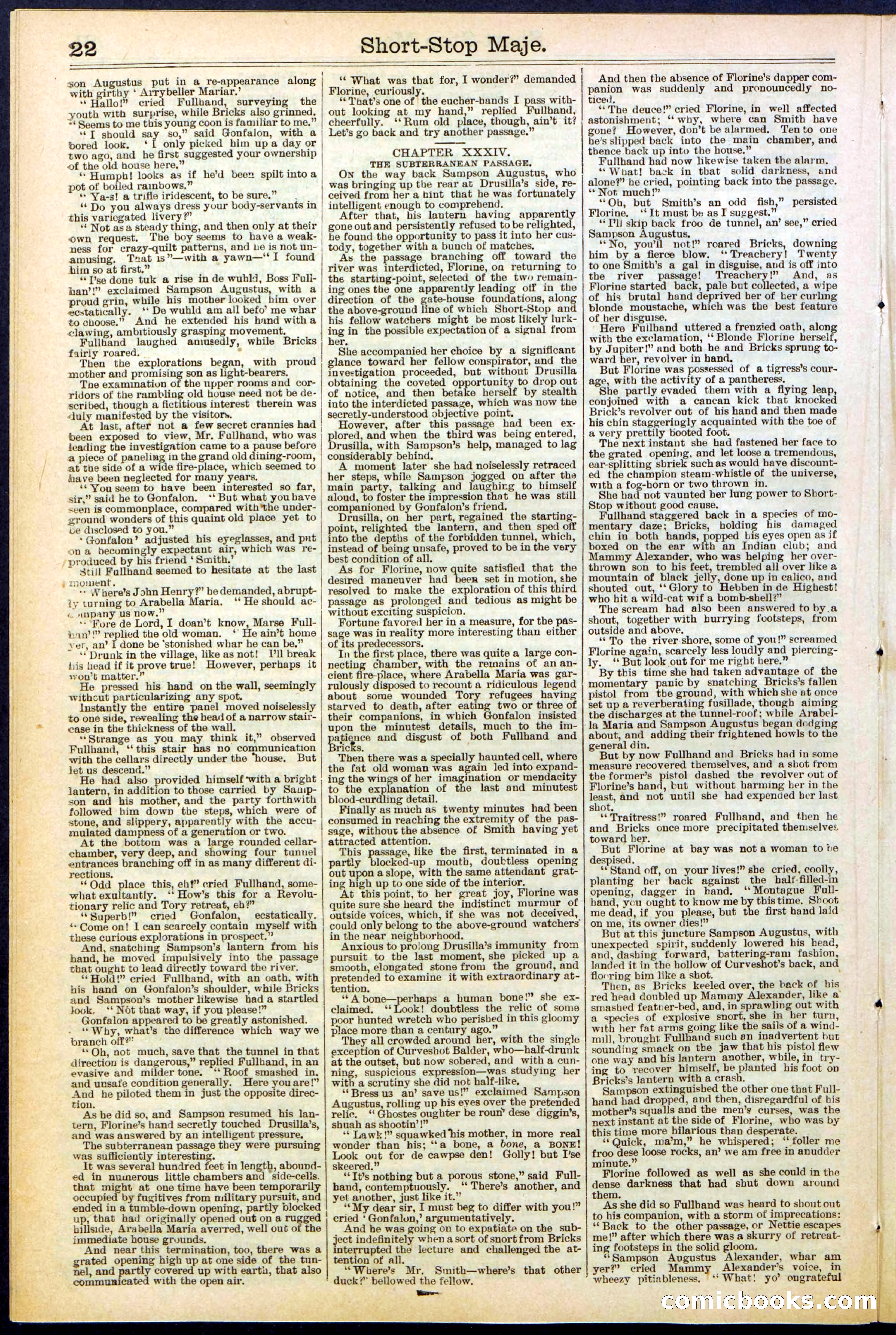 Beadle's New York Dime Library No. 515 — page 22 of 32