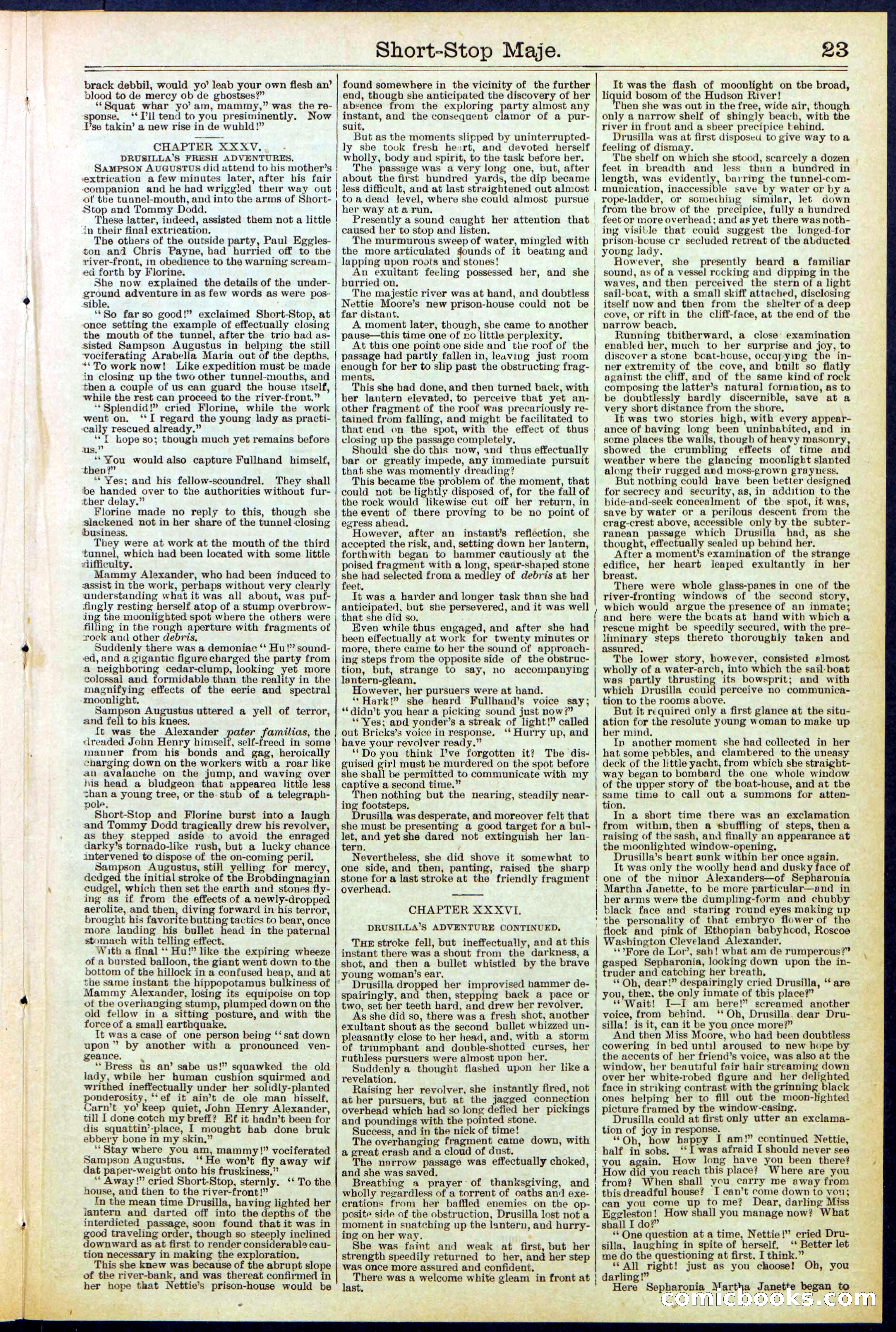 Beadle's New York Dime Library No. 515 — page 23 of 32