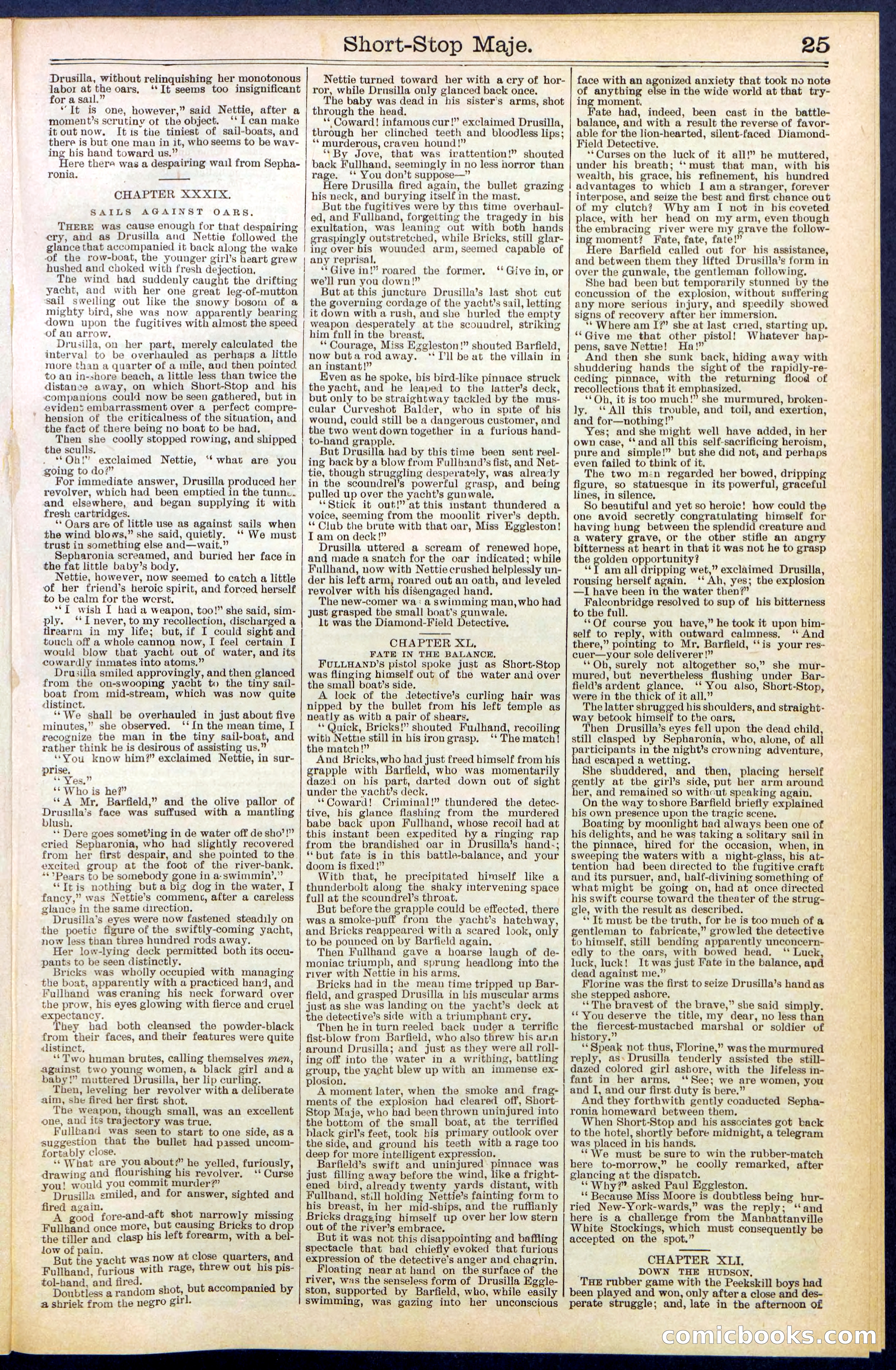 Beadle's New York Dime Library No. 515 — page 25 of 32