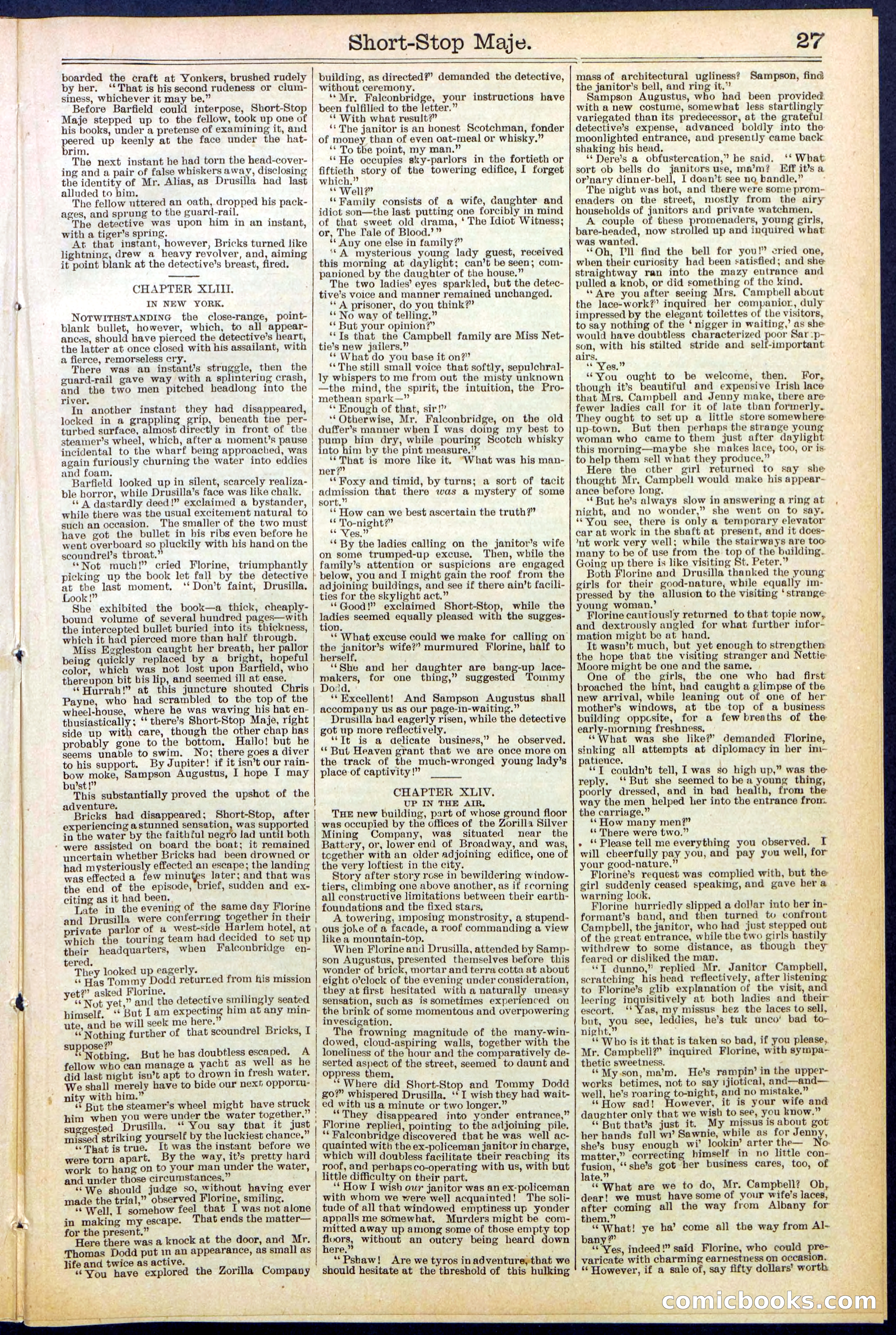 Beadle's New York Dime Library No. 515 — page 27 of 32