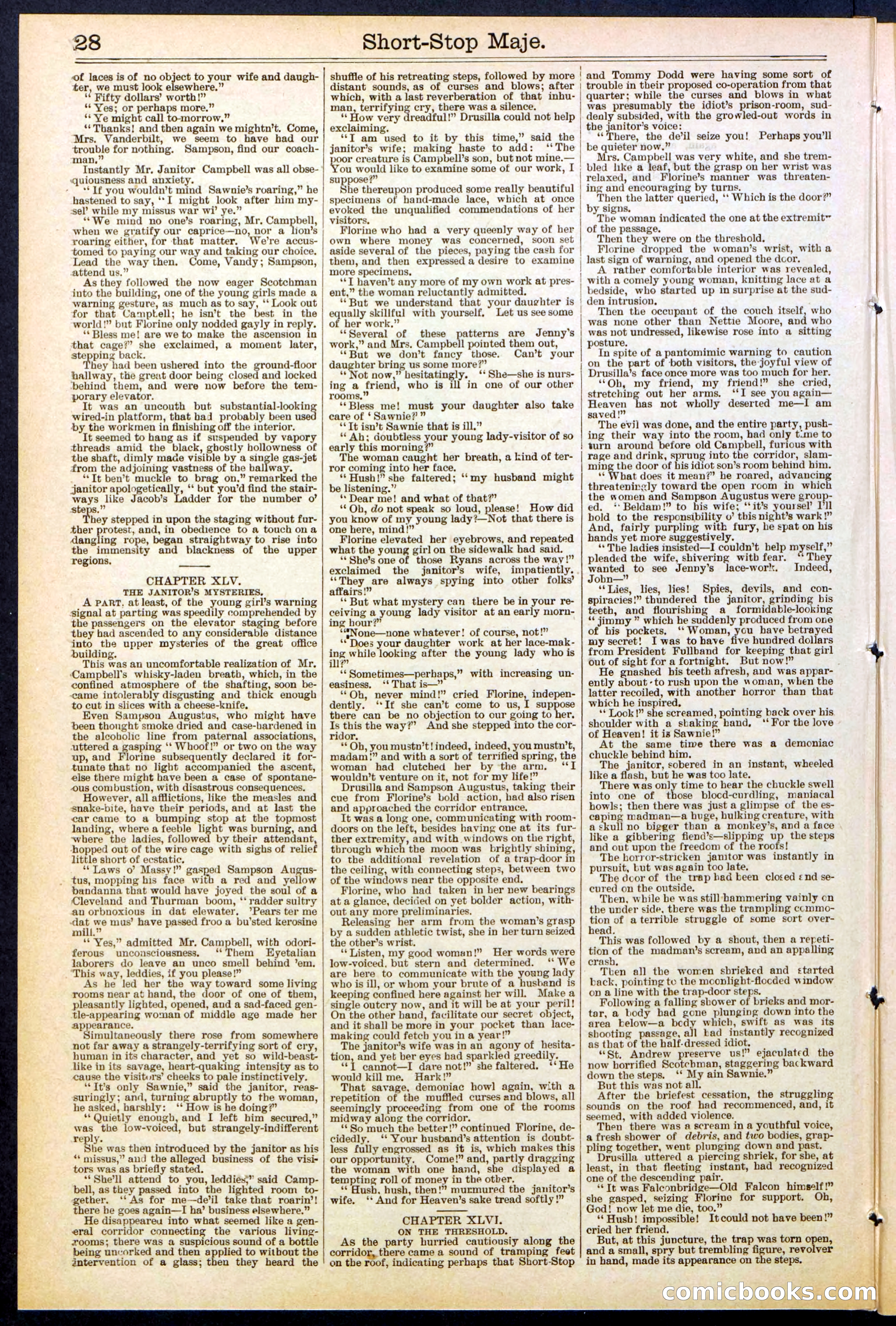 Beadle's New York Dime Library No. 515 — page 28 of 32