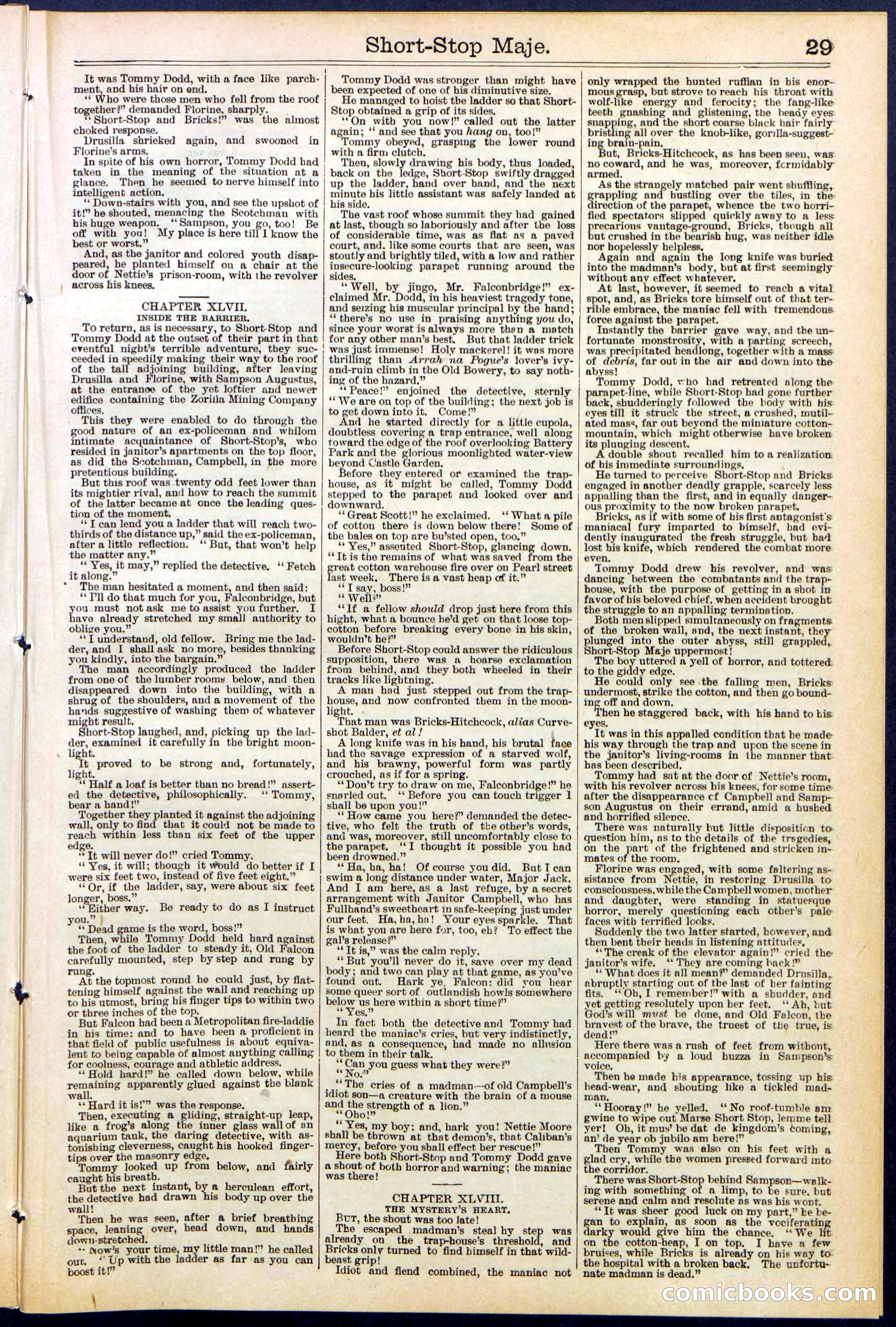 Beadle's New York Dime Library No. 515 — page 29 of 32