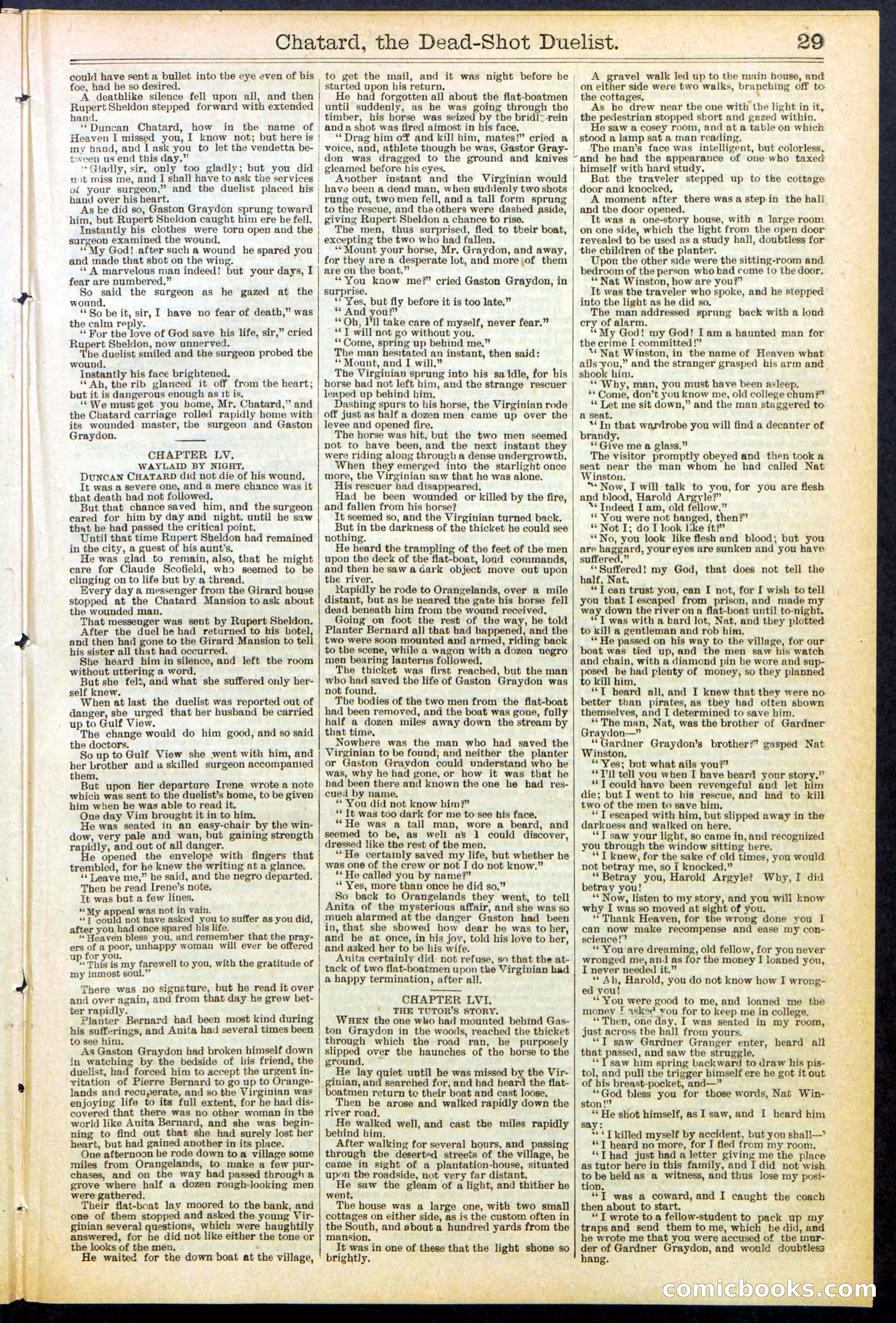 Beadle's New York Dime Library No. 516 — page 29 of 32