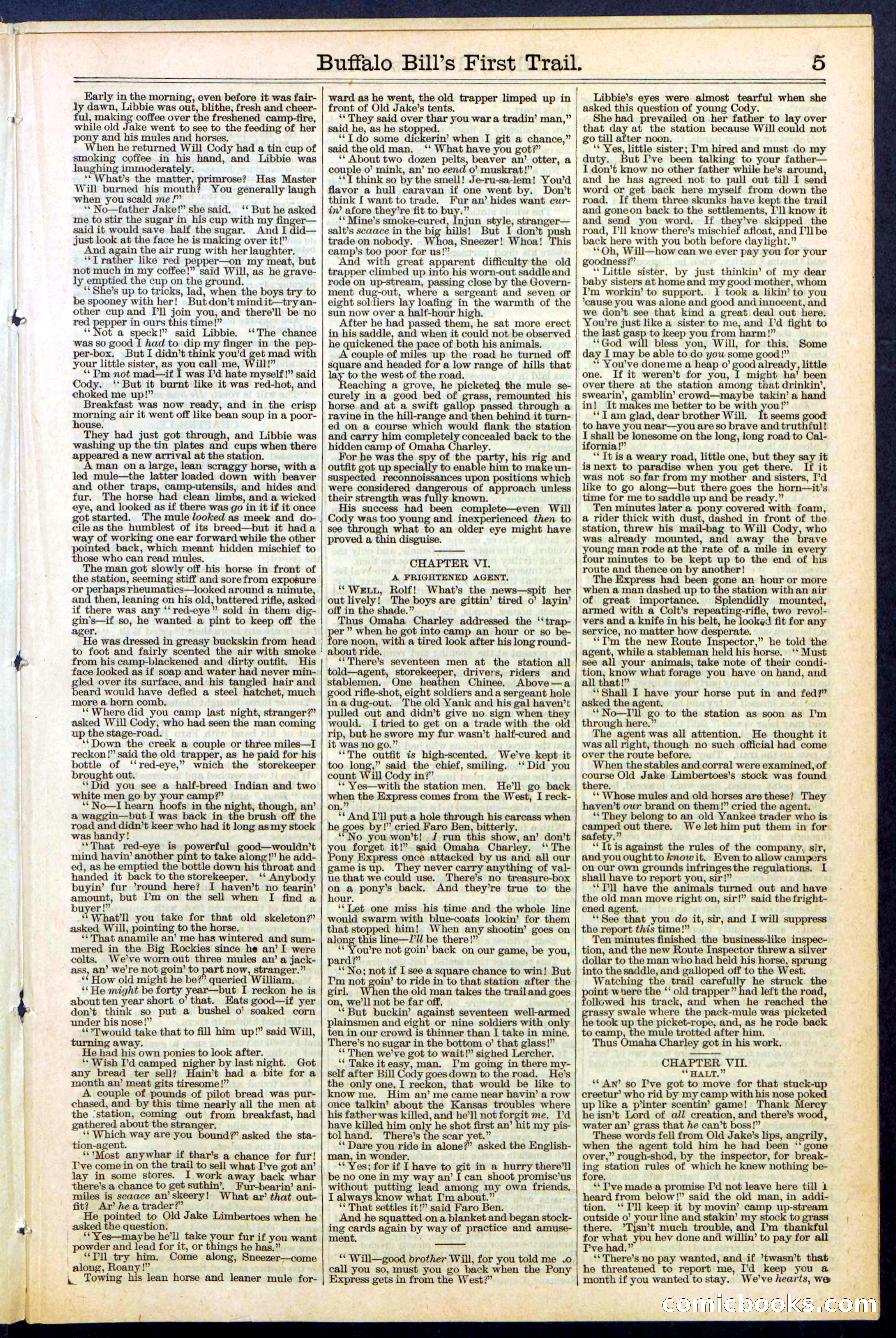 Beadle's New York Dime Library No. 517 — page 5 of 32