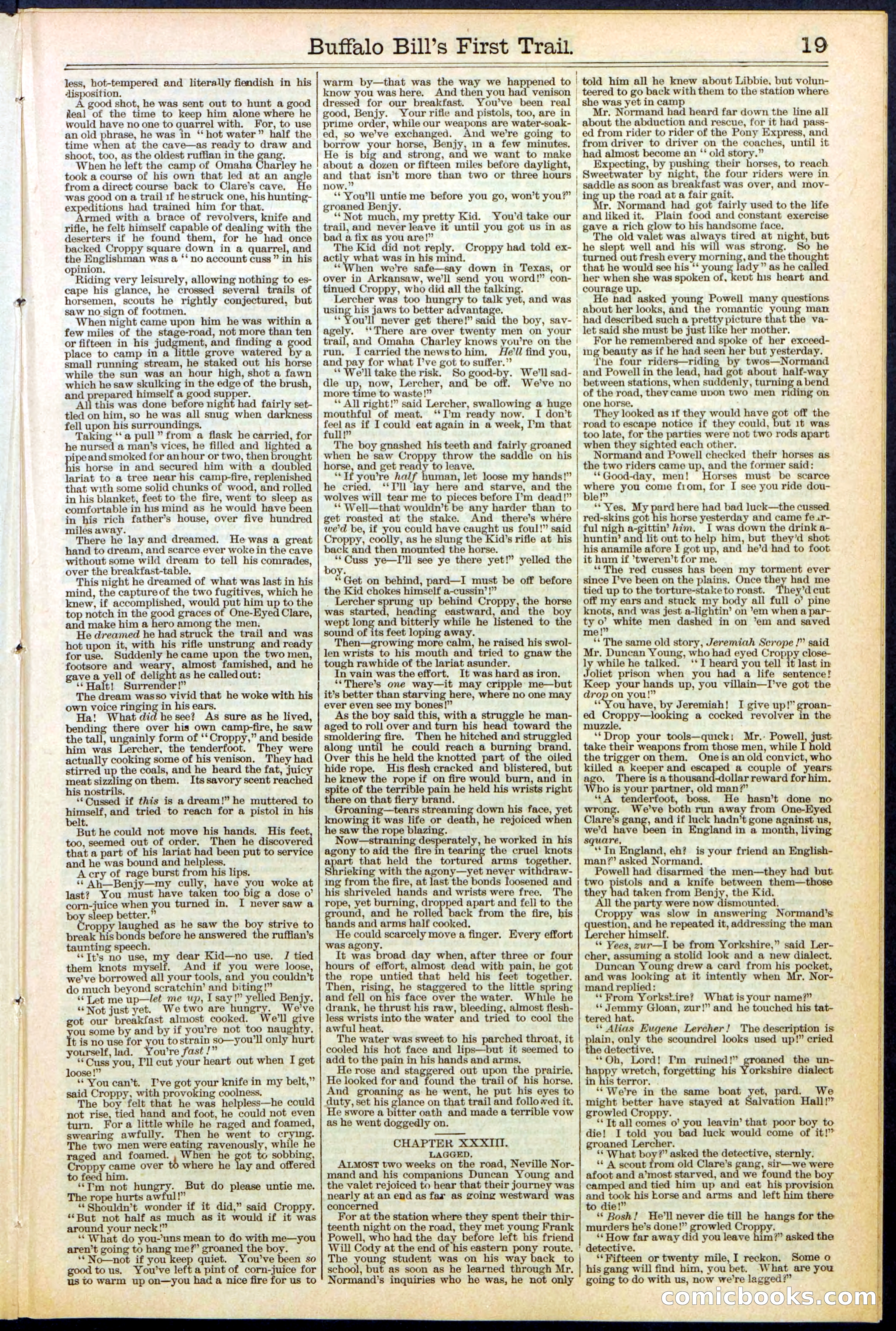 Beadle's New York Dime Library No. 517 — page 19 of 32