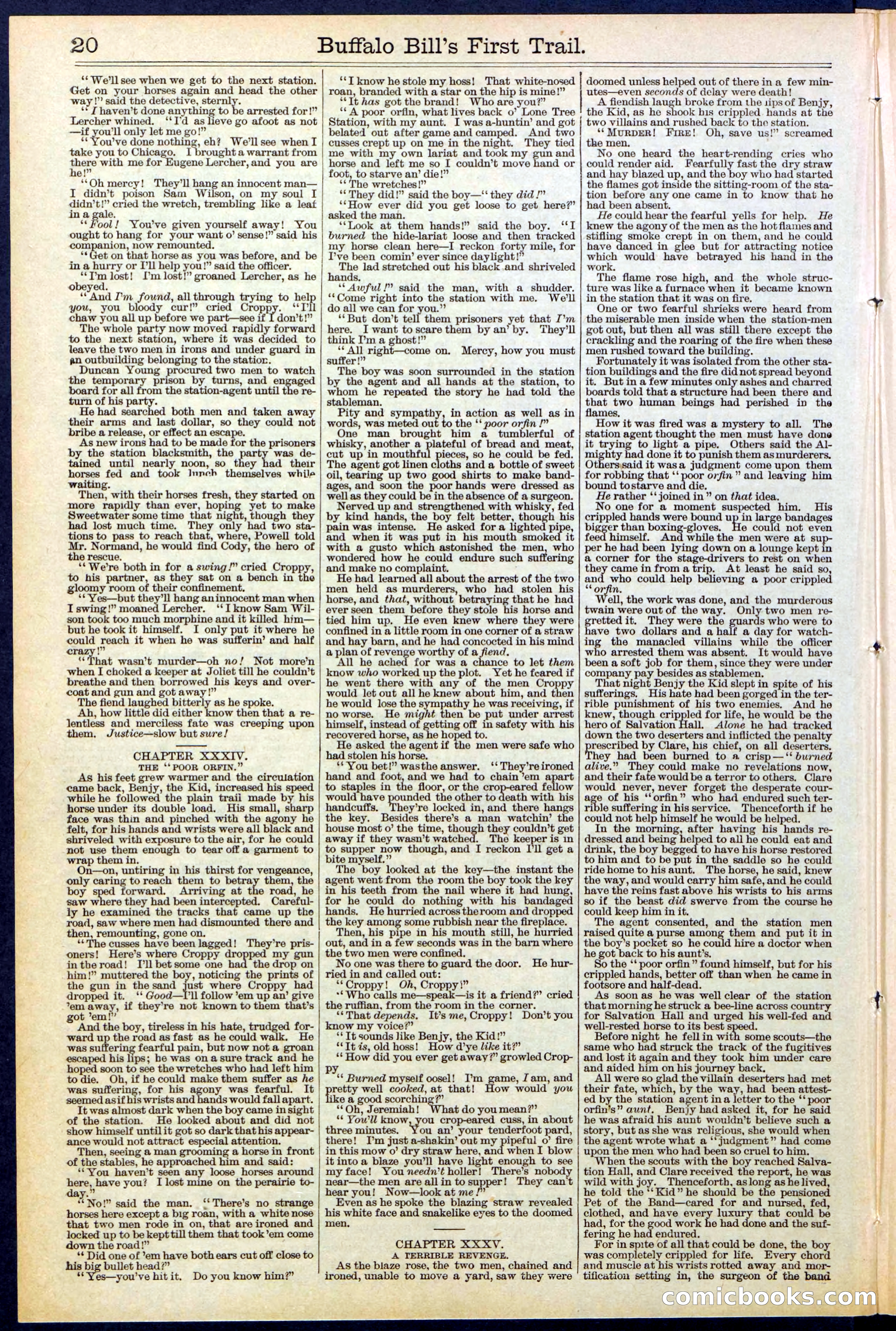 Beadle's New York Dime Library No. 517 — page 20 of 32