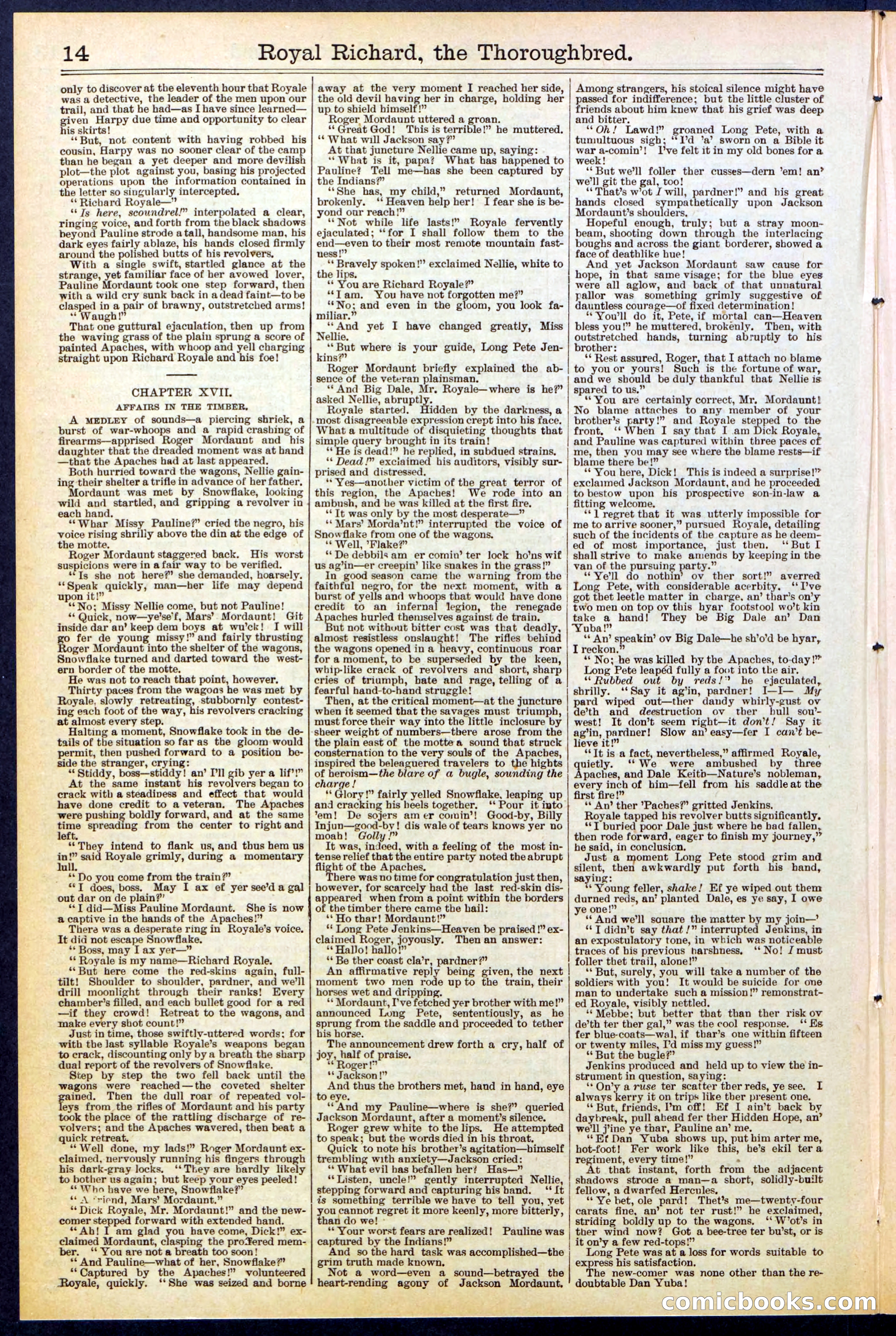 Beadle's Dime Library No. 518 — page 14 of 32