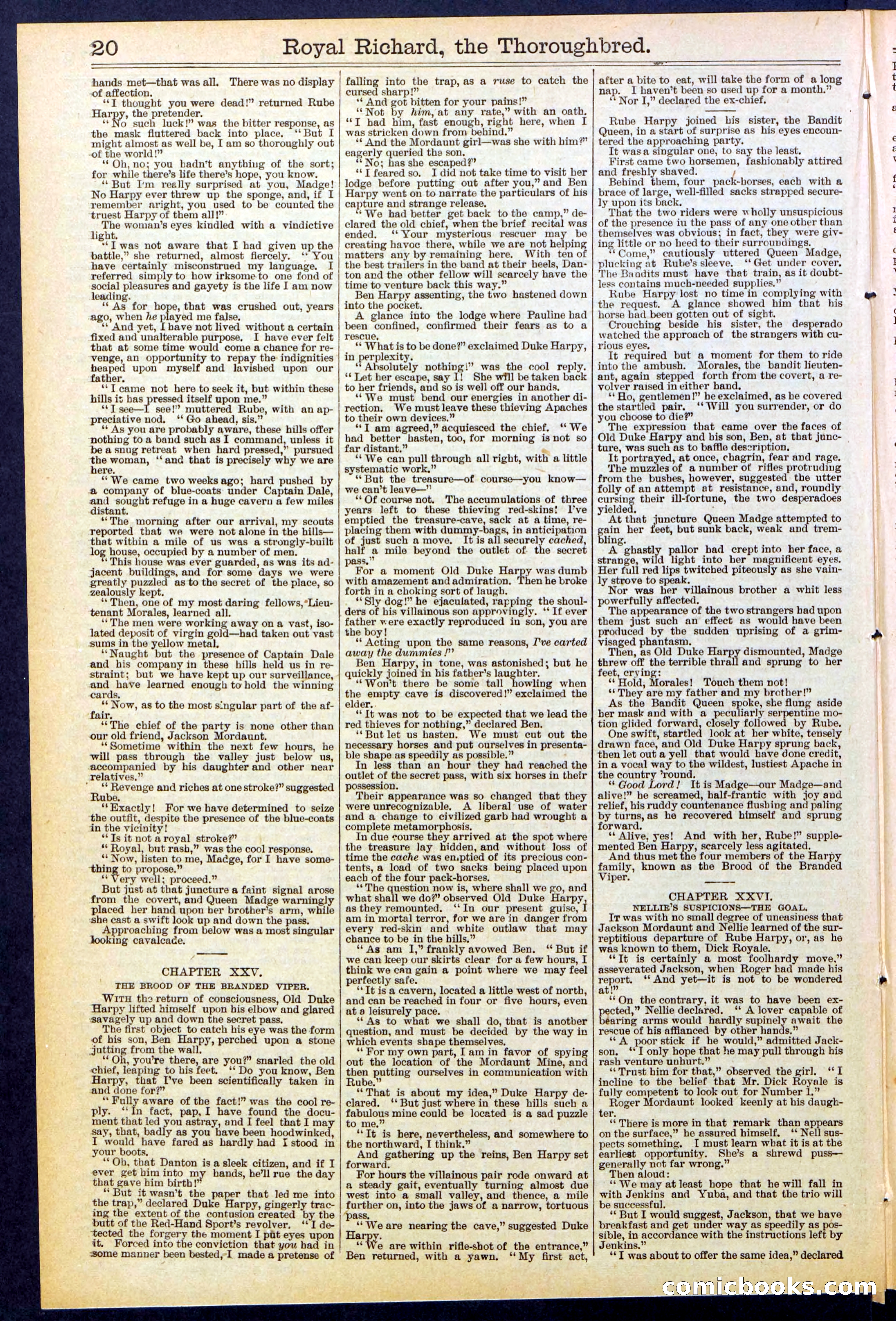 Beadle's Dime Library No. 518 — page 20 of 32