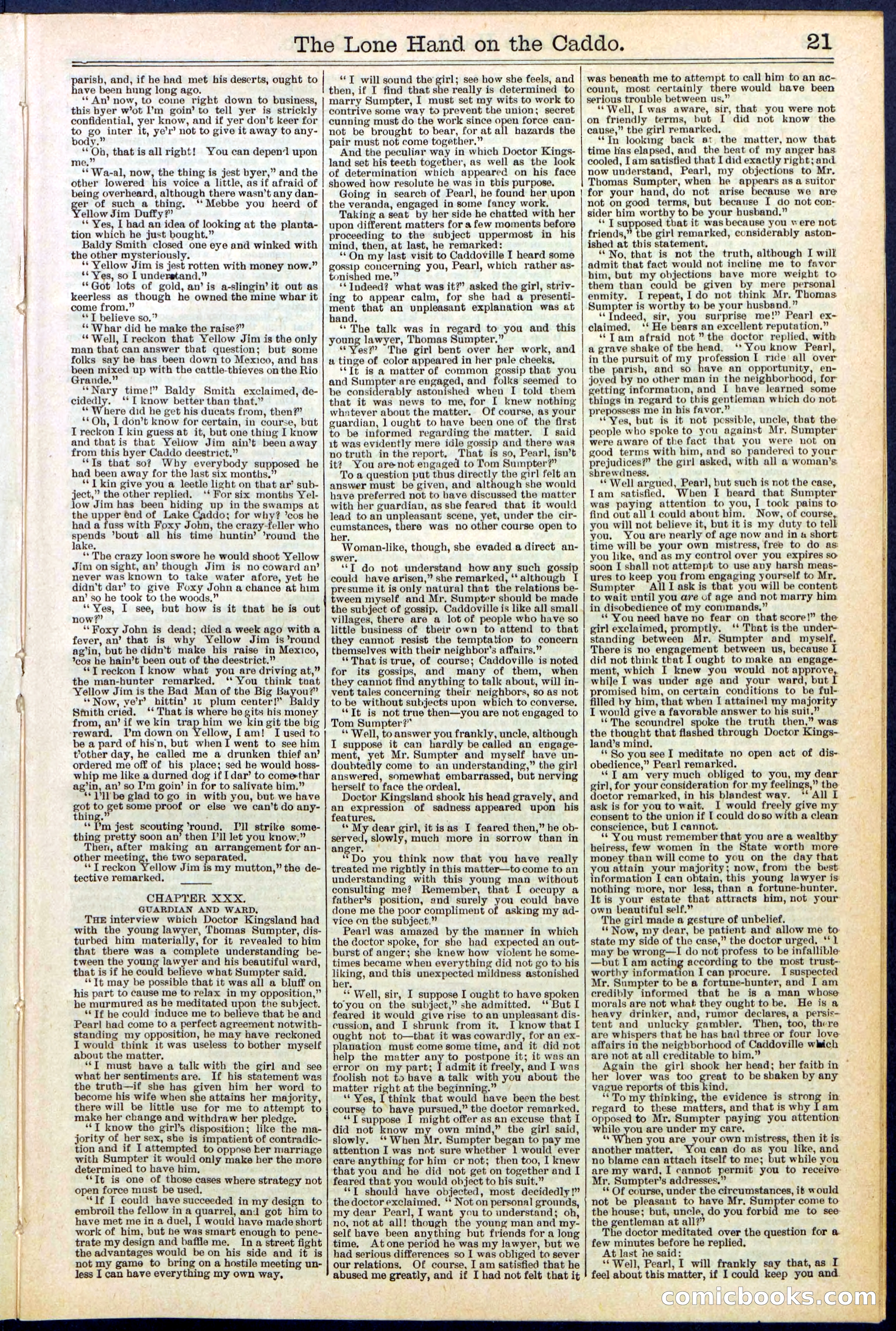 Beadle's New York Dime Library No. 520 — page 21 of 32