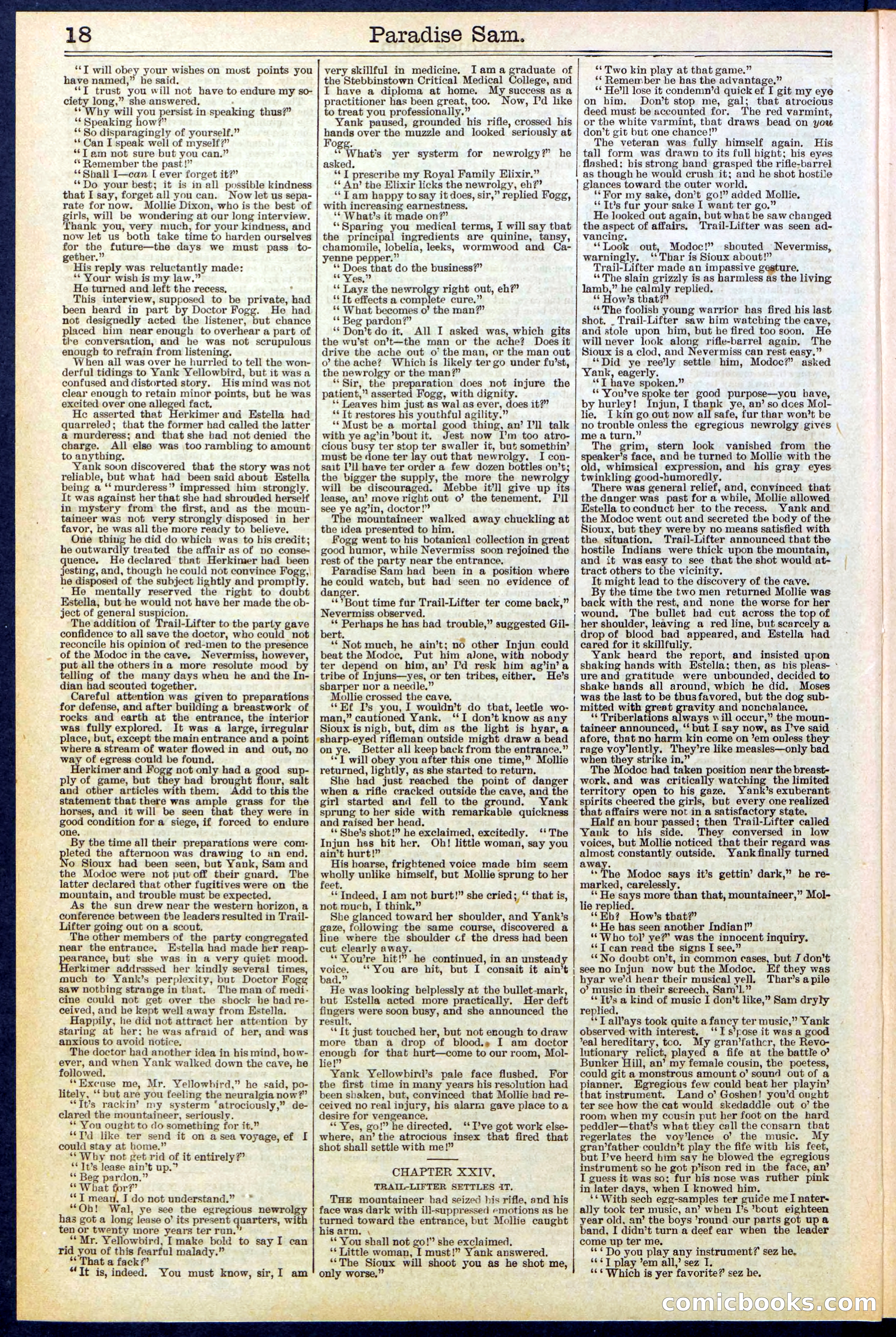 Beadle's New York Dime Library No. 521 — page 18 of 32