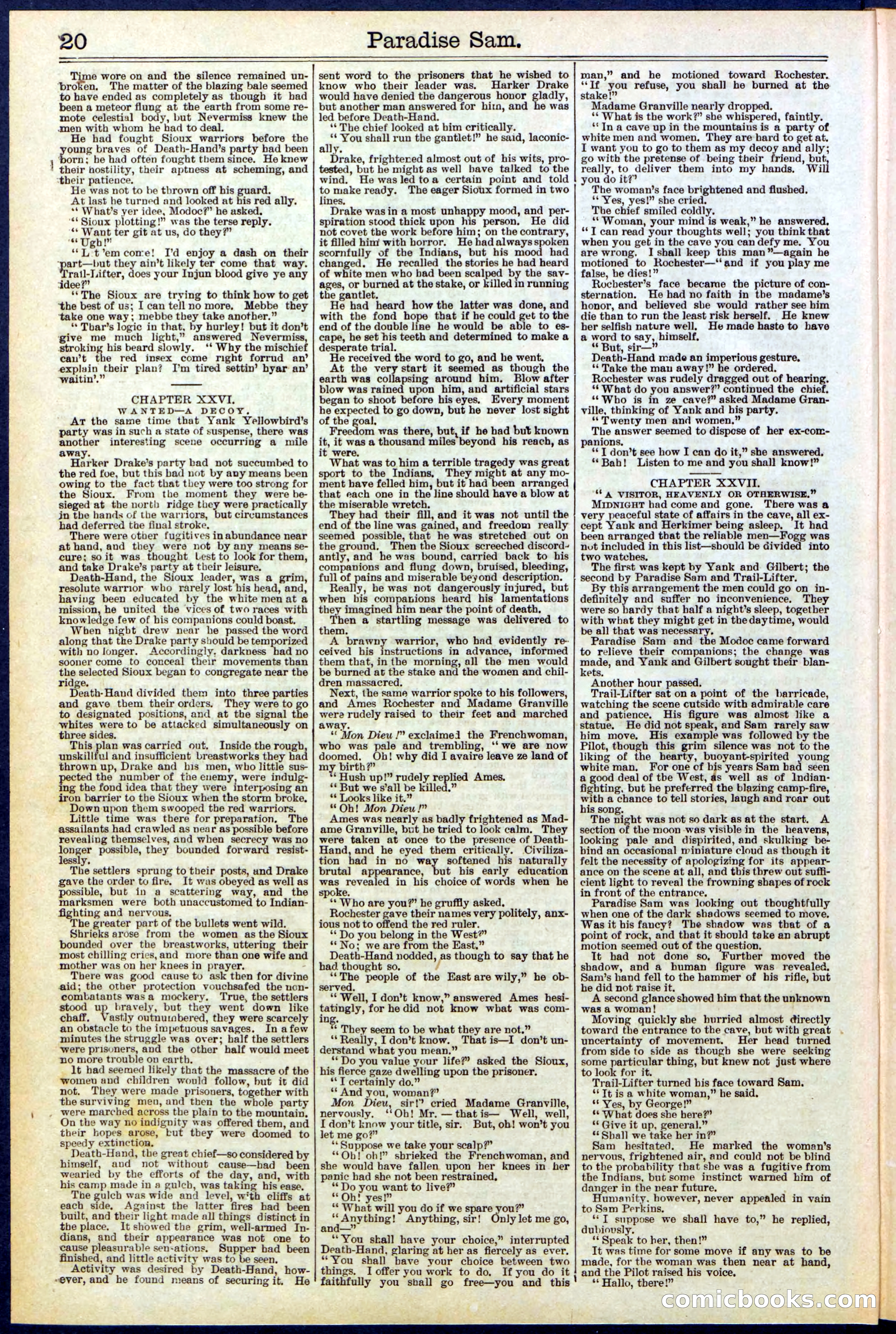 Beadle's New York Dime Library No. 521 — page 20 of 32