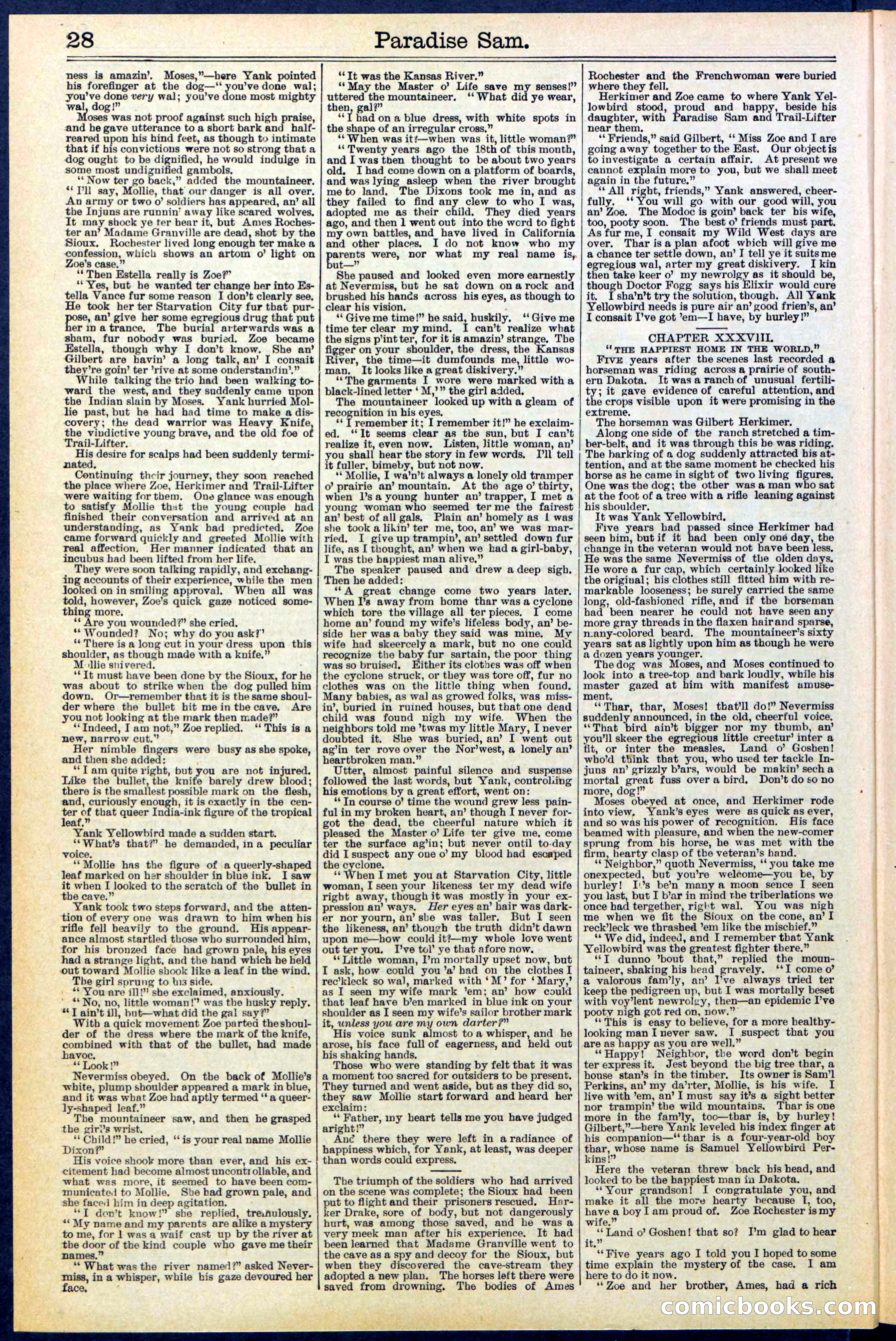 Beadle's New York Dime Library No. 521 — page 28 of 32