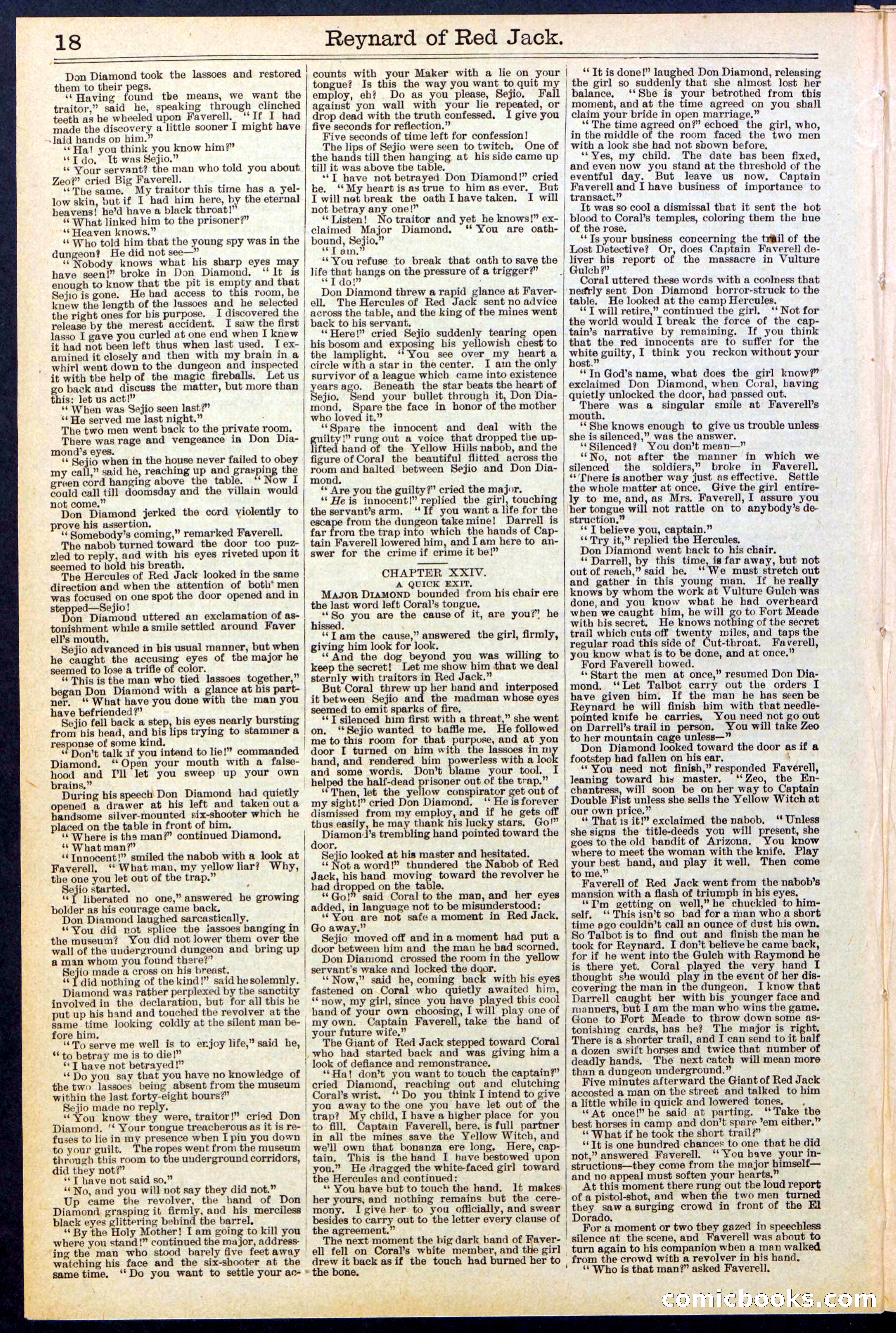 Beadle's New York Dime Library No. 523 — page 18 of 32